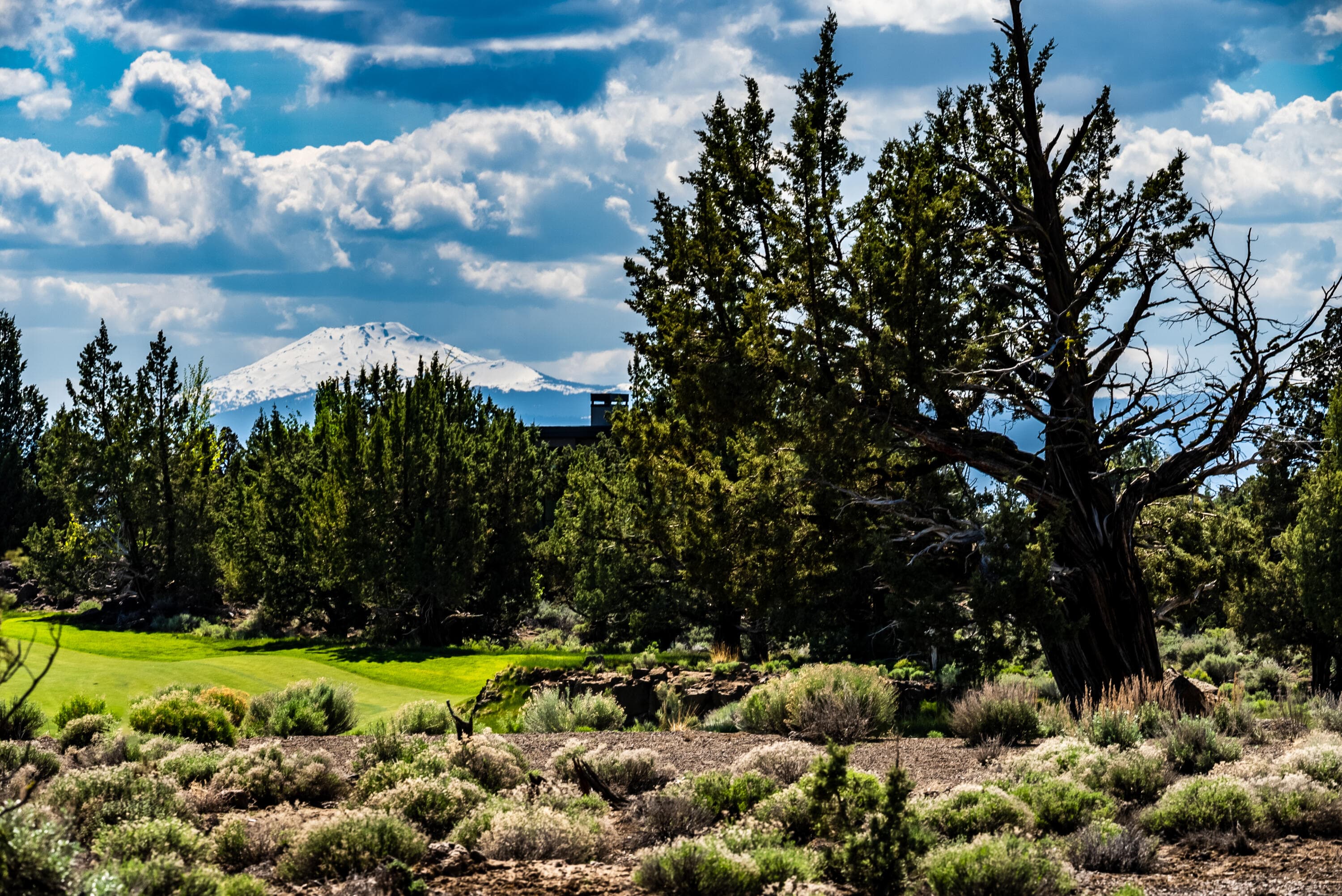 Primary photo of 22933 Canyon View Loop, Lot 186