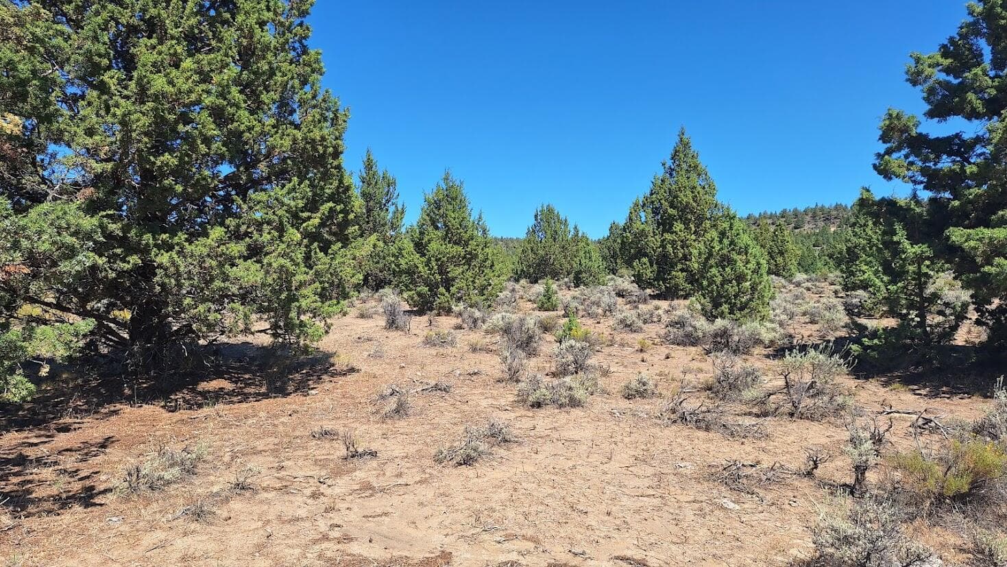 Primary photo of 400 GoldenView Ranch, 400
