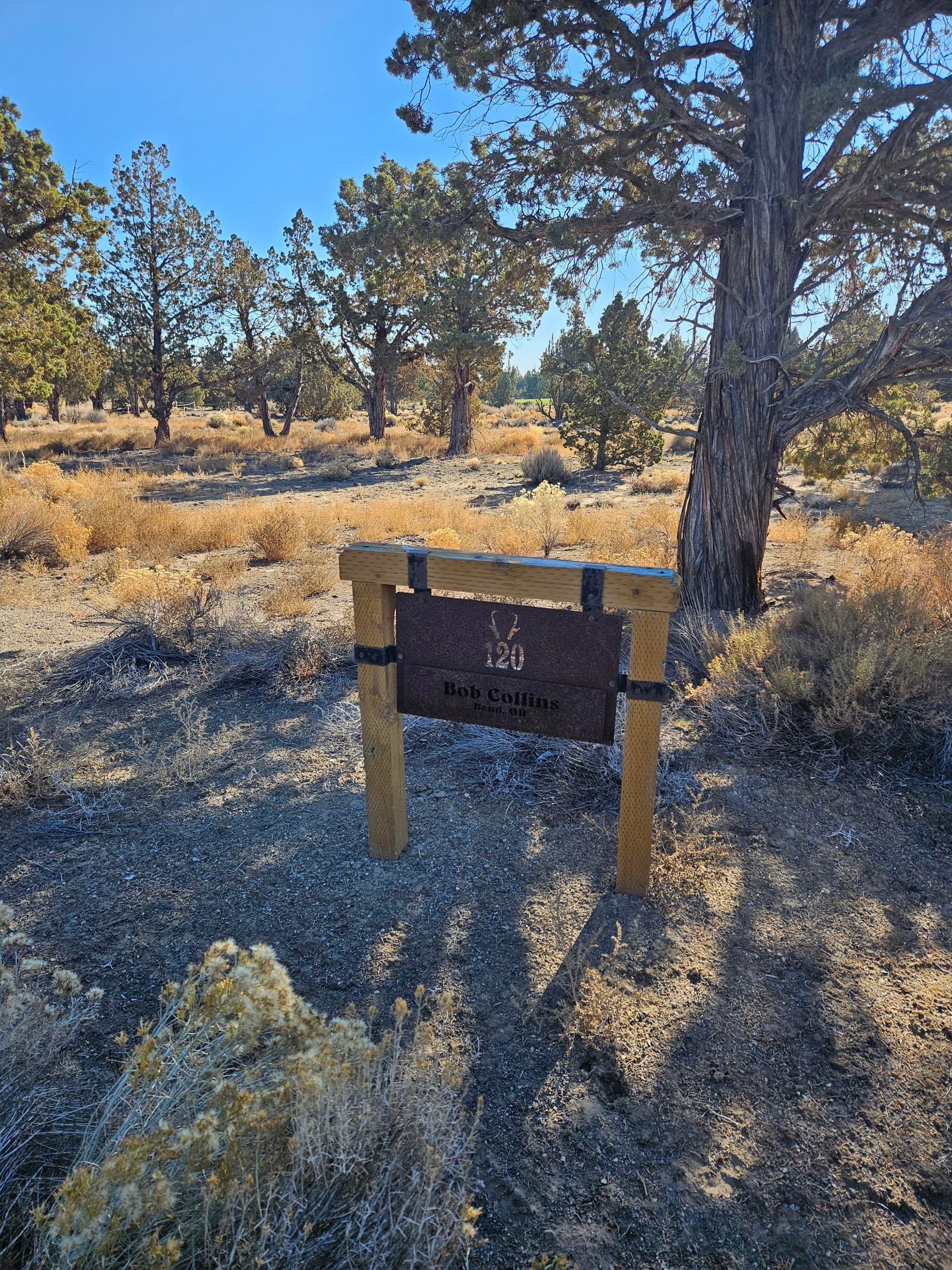 Primary photo of 23031 Brushline Court, Lot 120