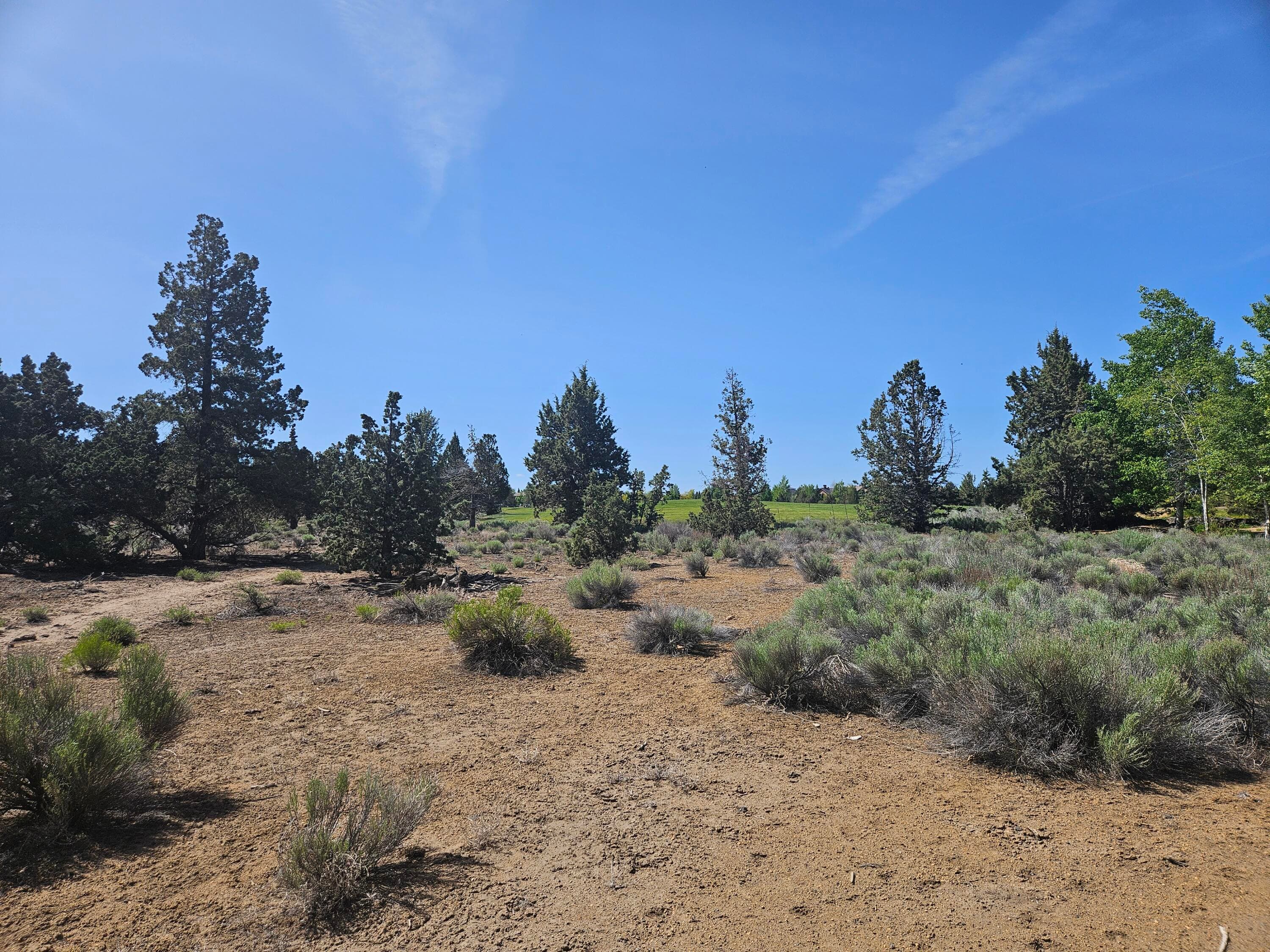 Photo 2 of 23031 Brushline Court, Lot 120