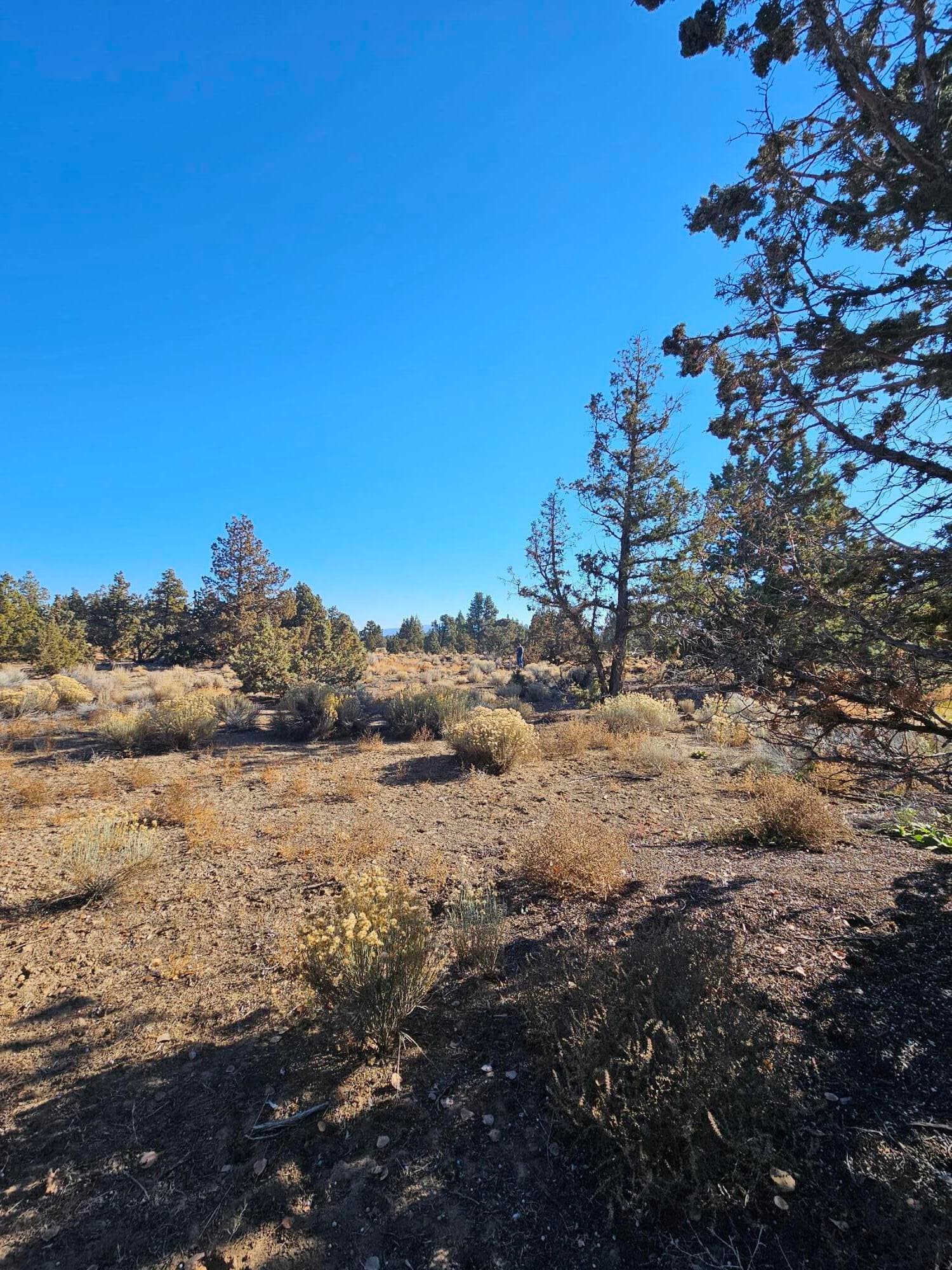 Photo 3 of 23031 Brushline Court, Lot 120
