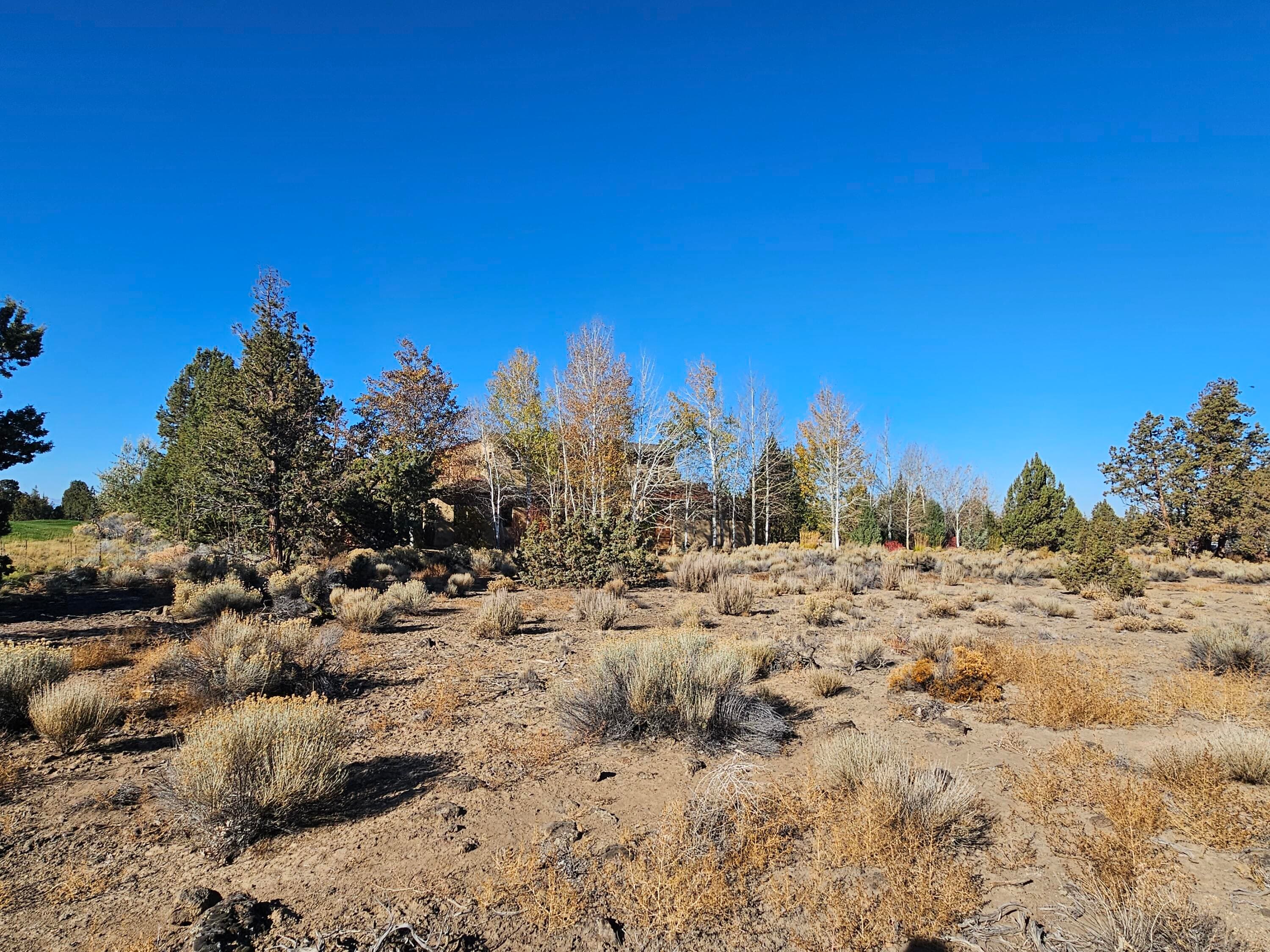 Photo 4 of 23031 Brushline Court, Lot 120
