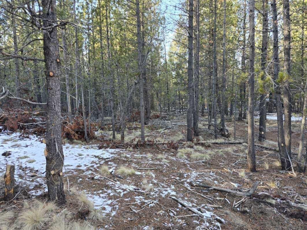 Primary photo of 16852 ELSINORE RD Road, 45