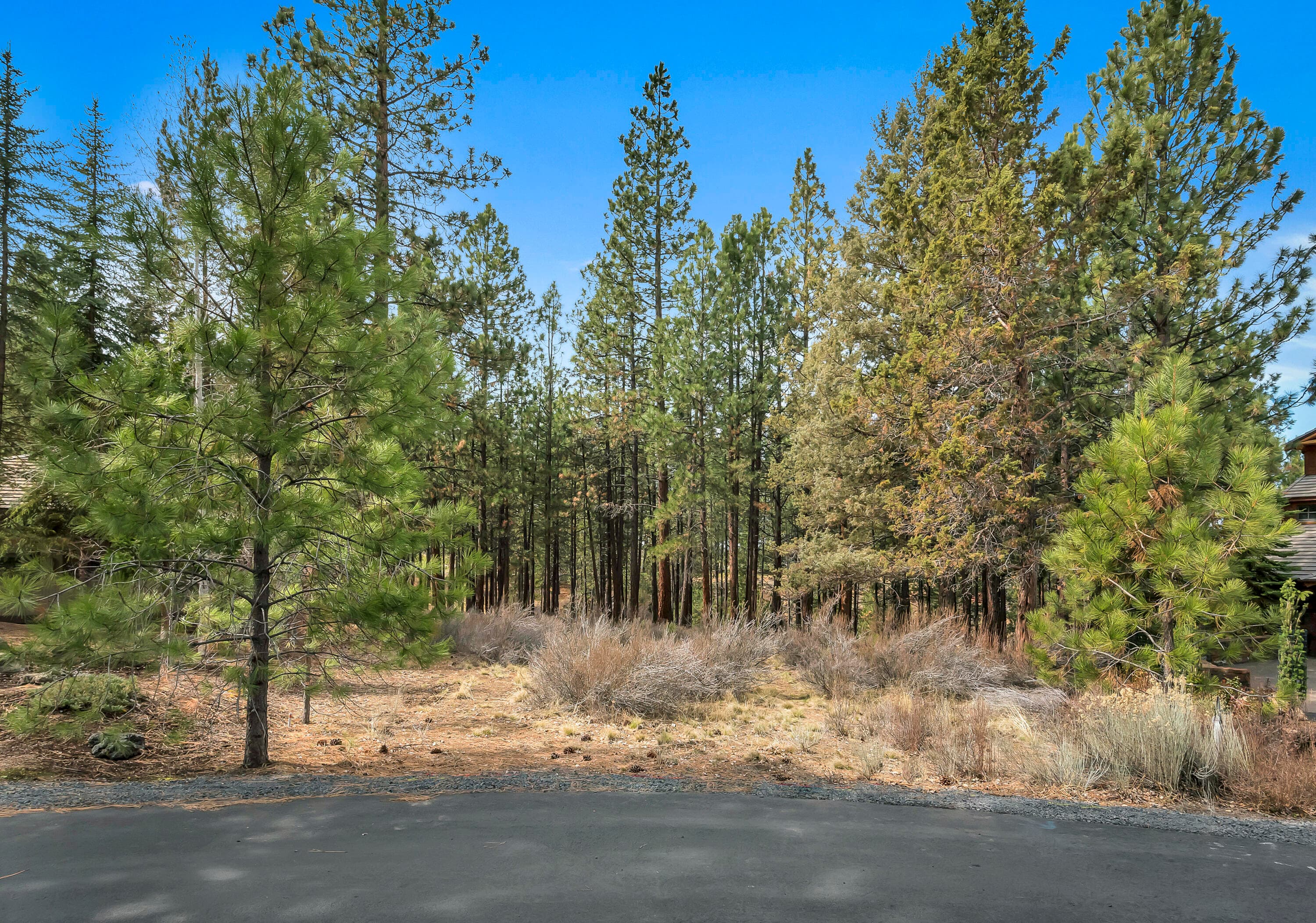 Primary photo of 19374 Rim Lake Court