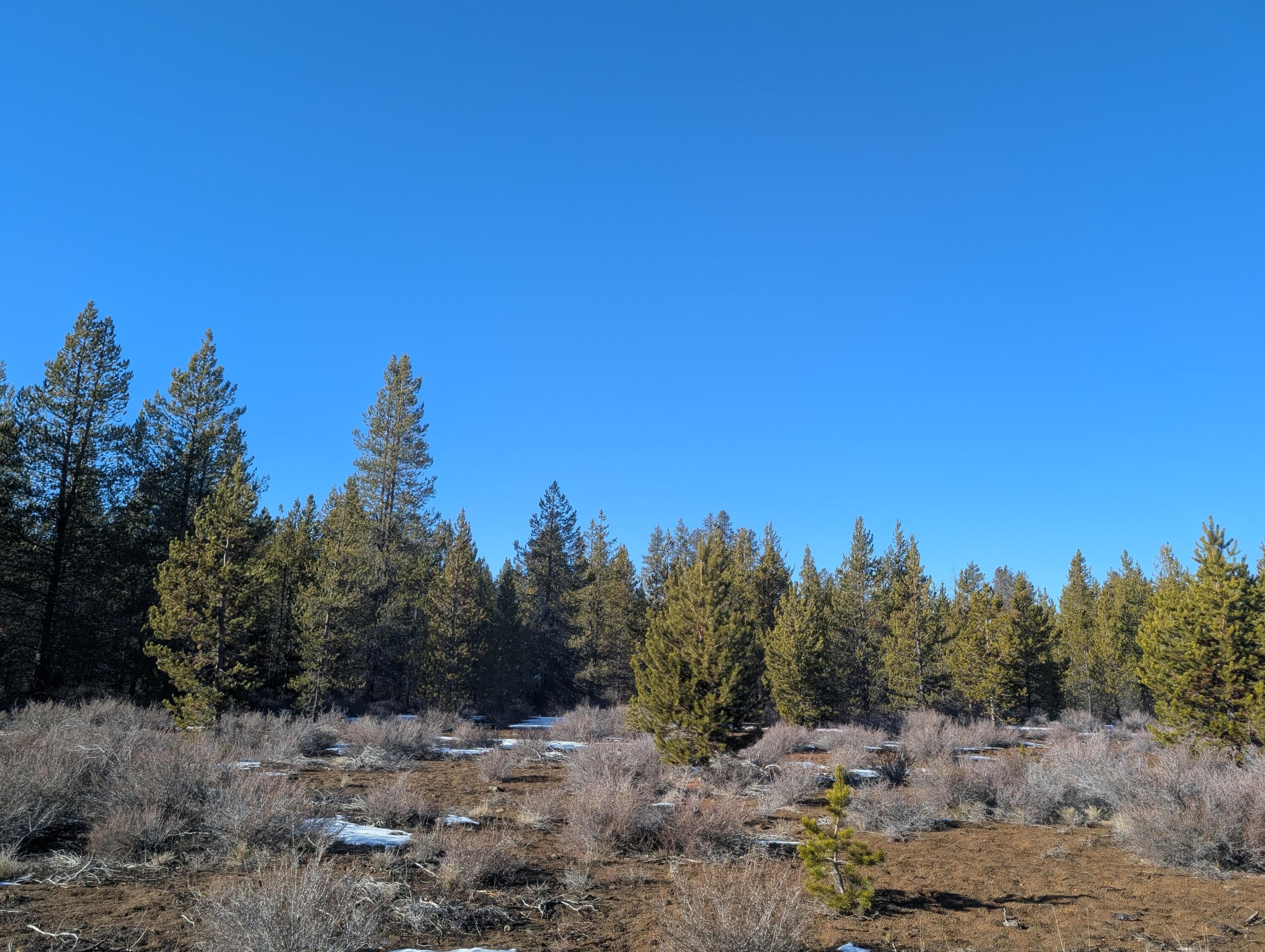 Primary photo of TL 211107B000108, TL 211106C00