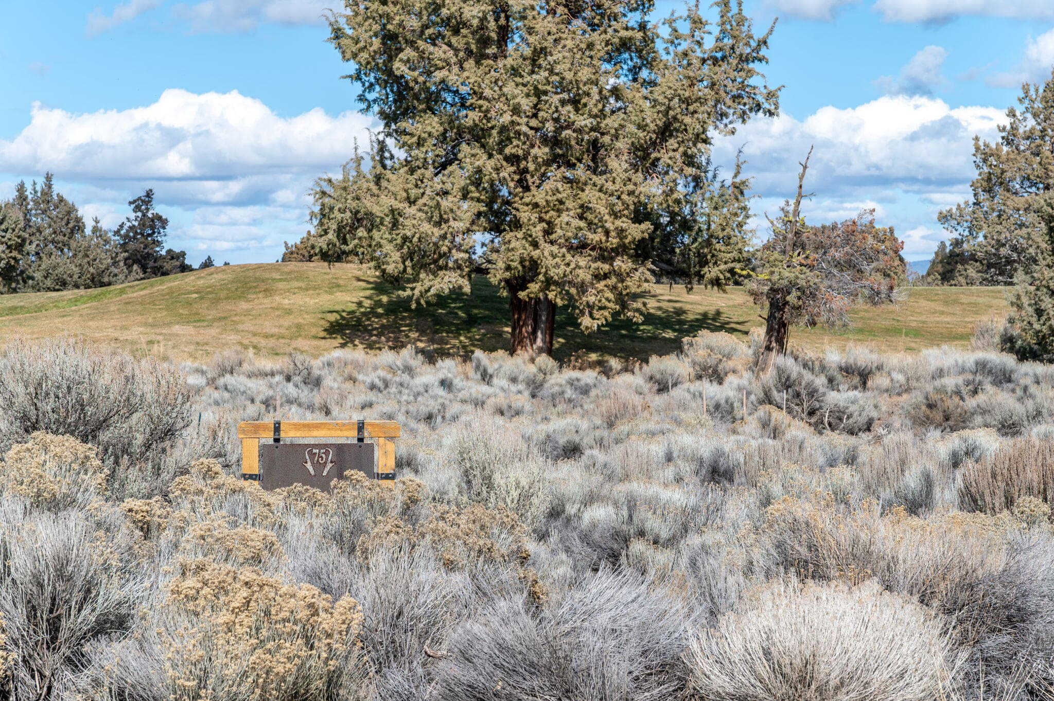 Primary photo of 65980 Pronghorn Estates, Lot 75