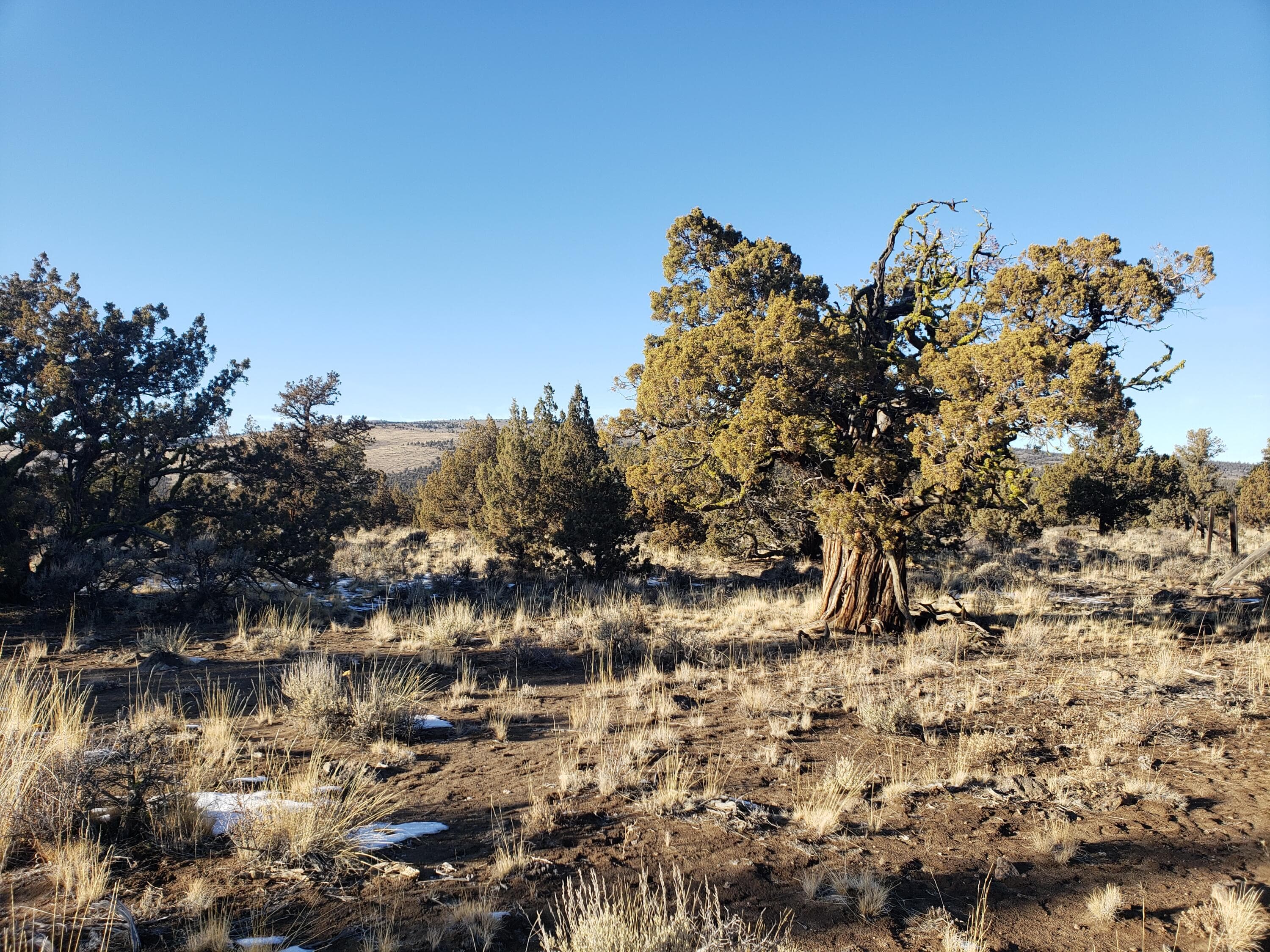 Primary photo of 1400 Golden View Ranch
