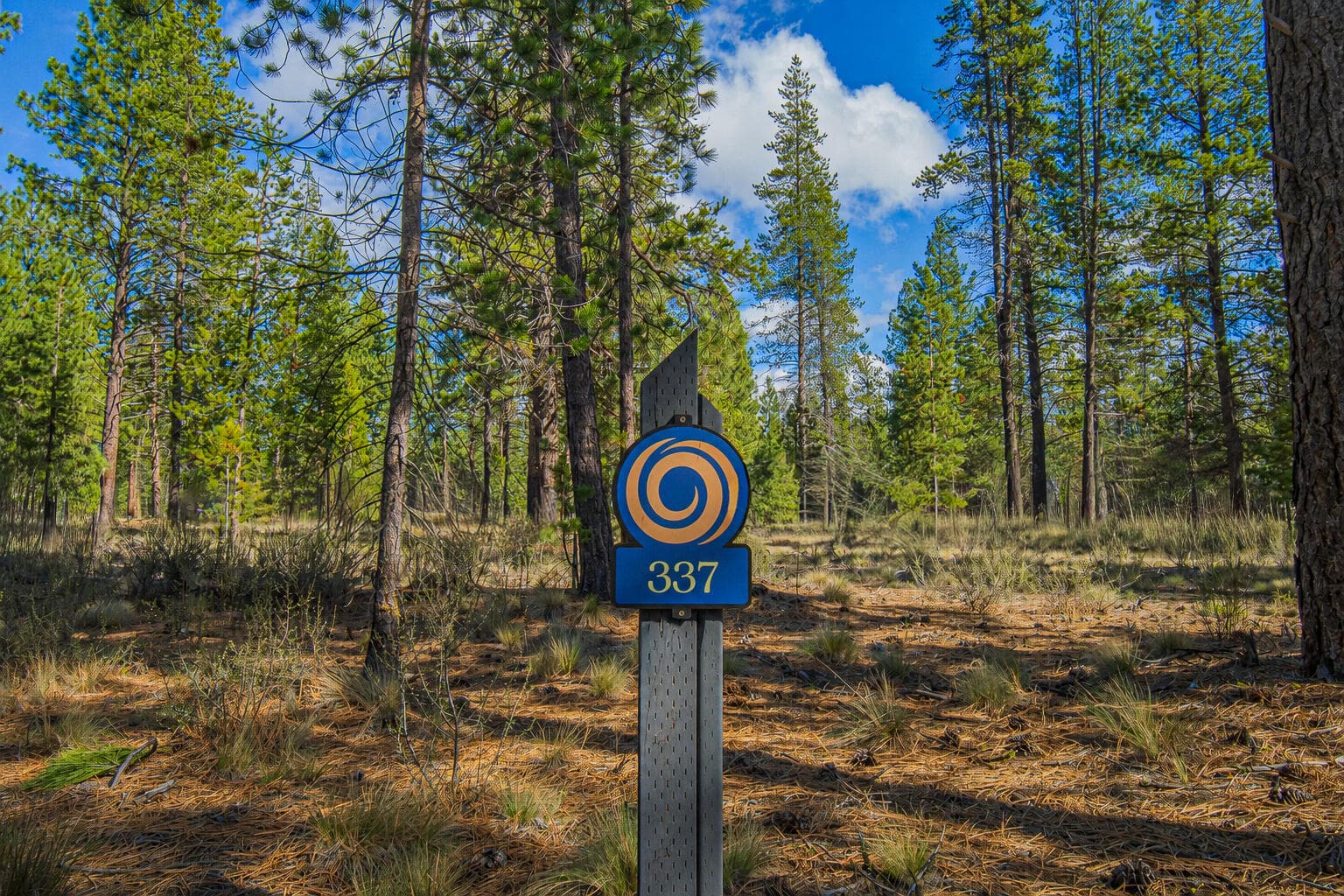 Primary photo of 56319 Mirror Rock Loop, 337