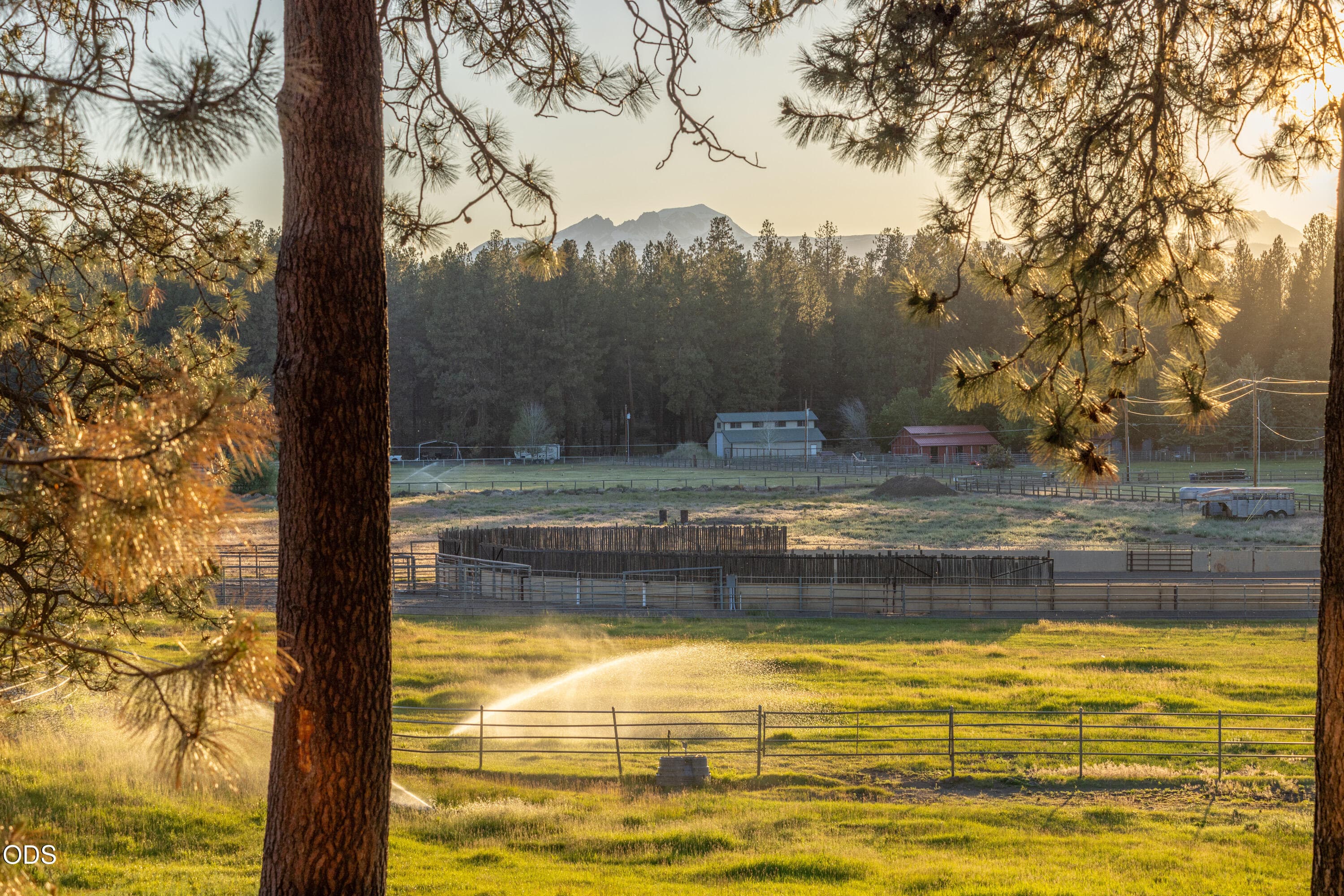 Primary photo of 60266 Tekampe Road
