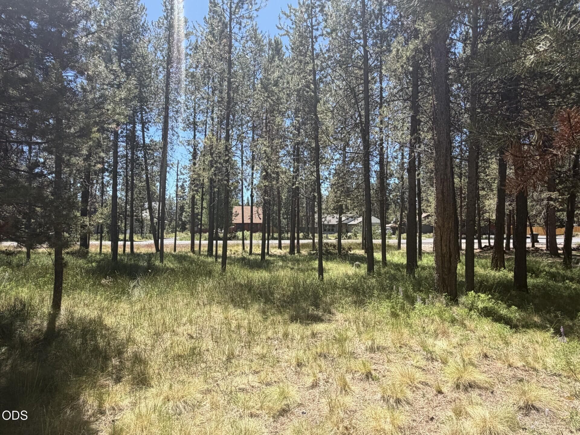 Primary photo of 17386 Golden Eye Drive