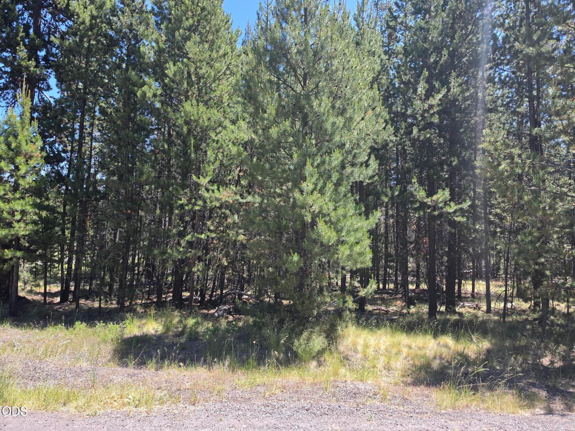 Primary photo of 17103 Laguna Road