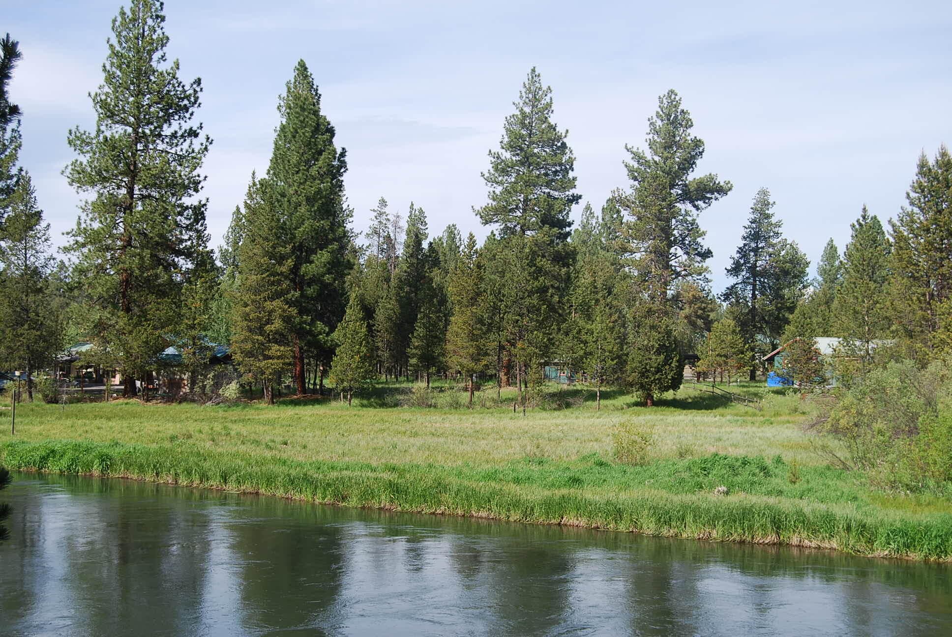 Primary photo of 16245 Bear Lane