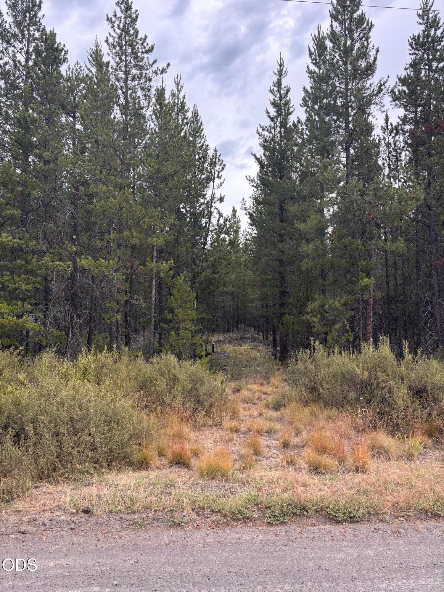 Primary photo of 17132 Jacinto Road