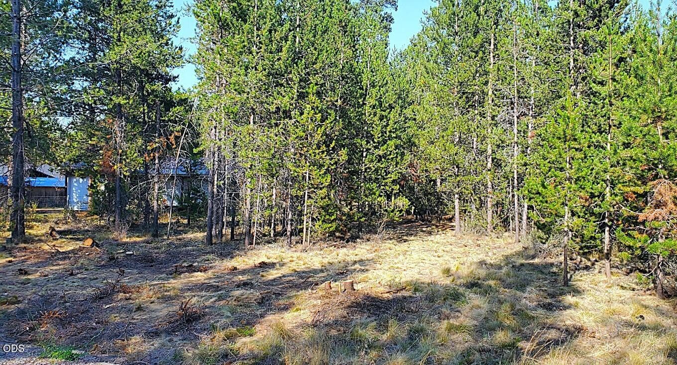 Photo 2 of 55618 Snow Goose Road