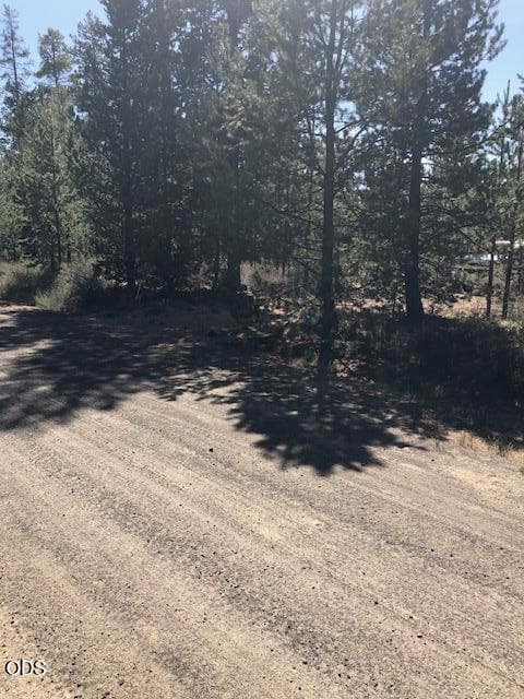 Primary photo of 55165 Tamarack Road