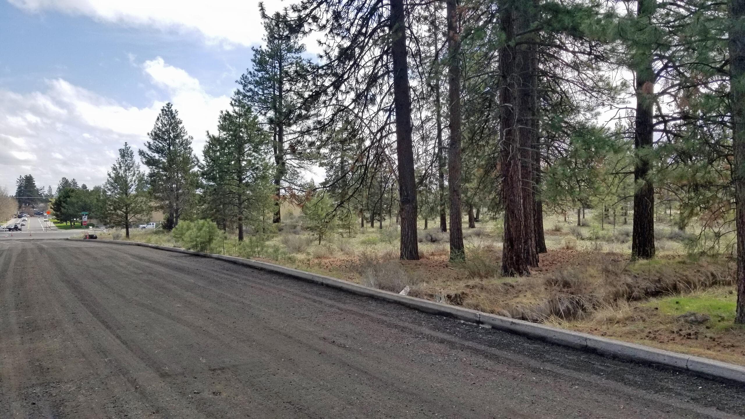 Photo 3 of Pinebrook Boulevard