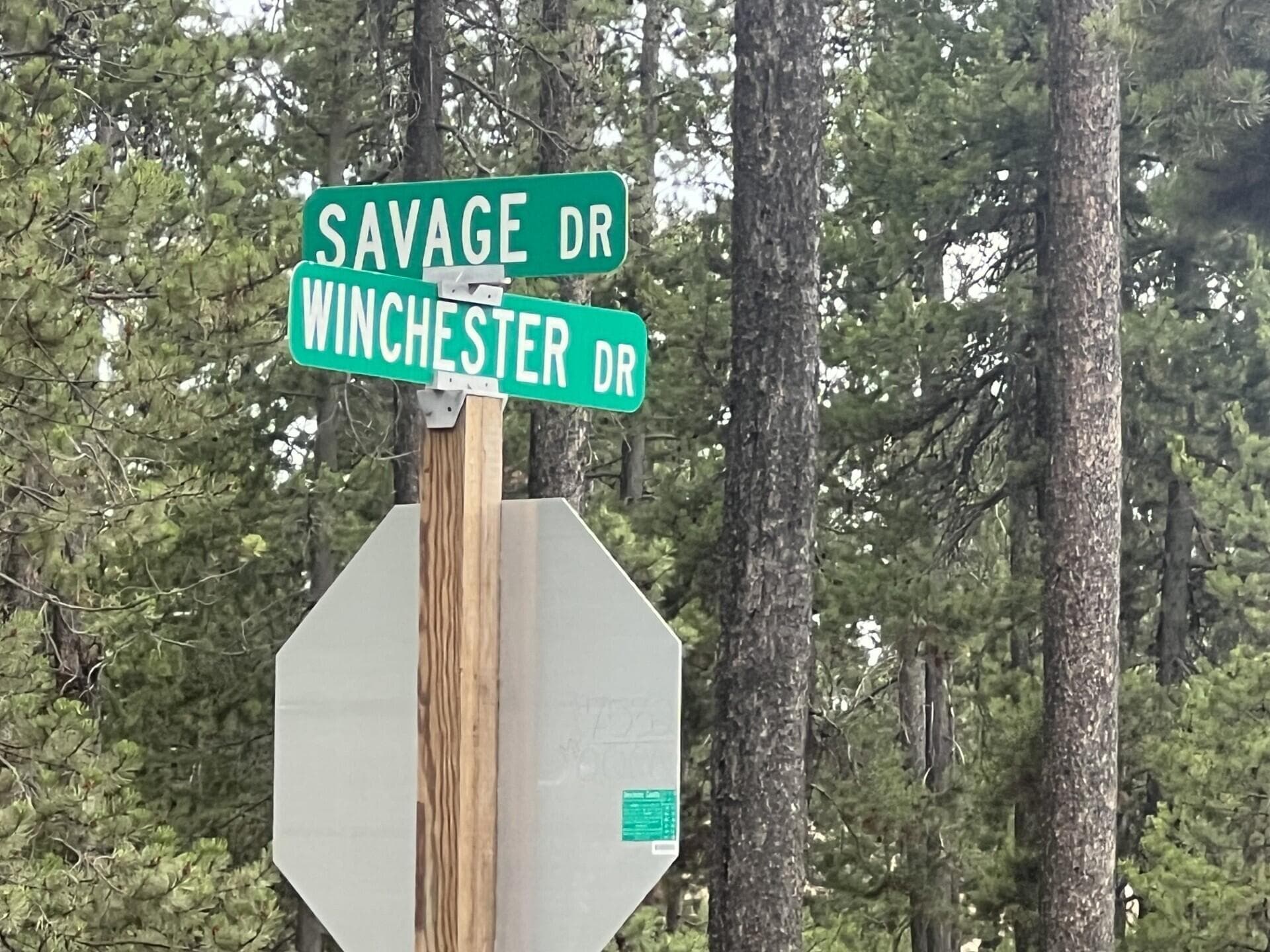 Photo 5 of 55975 Savage Drive