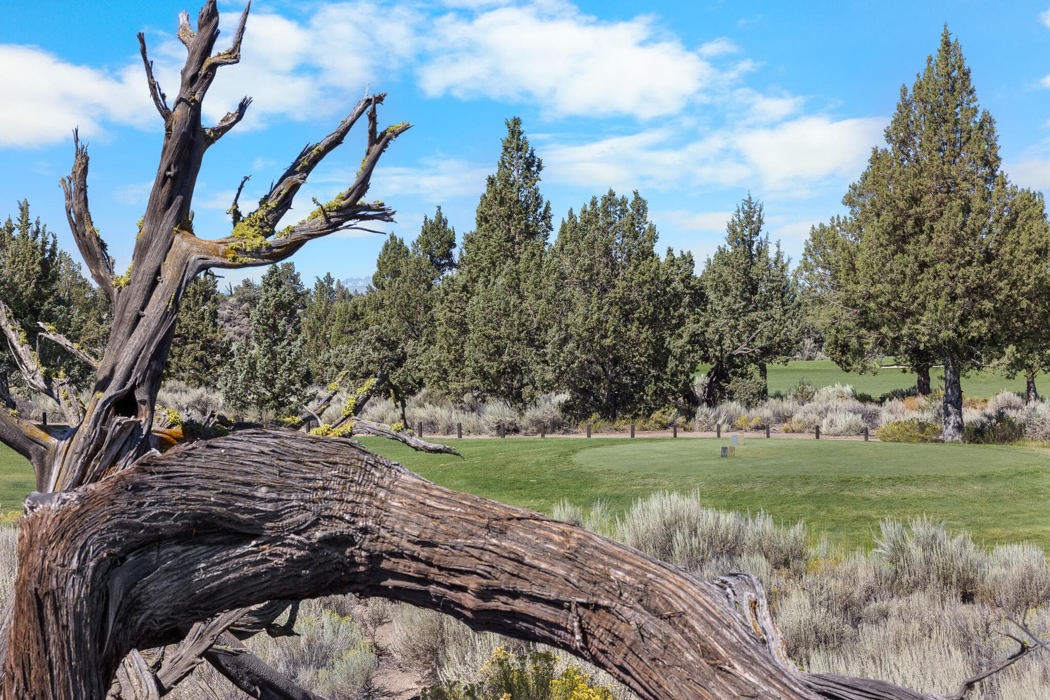 Photo 4 of 65765 Pronghorn Estates Drive, #24