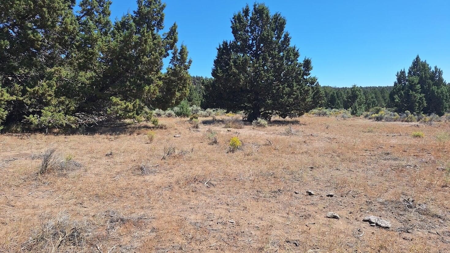 Photo 4 of 400 GoldenView Ranch, 400