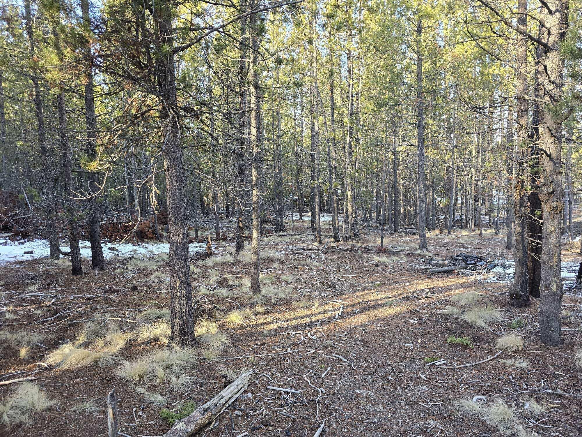 Photo 2 of 16852 ELSINORE RD Road, 45