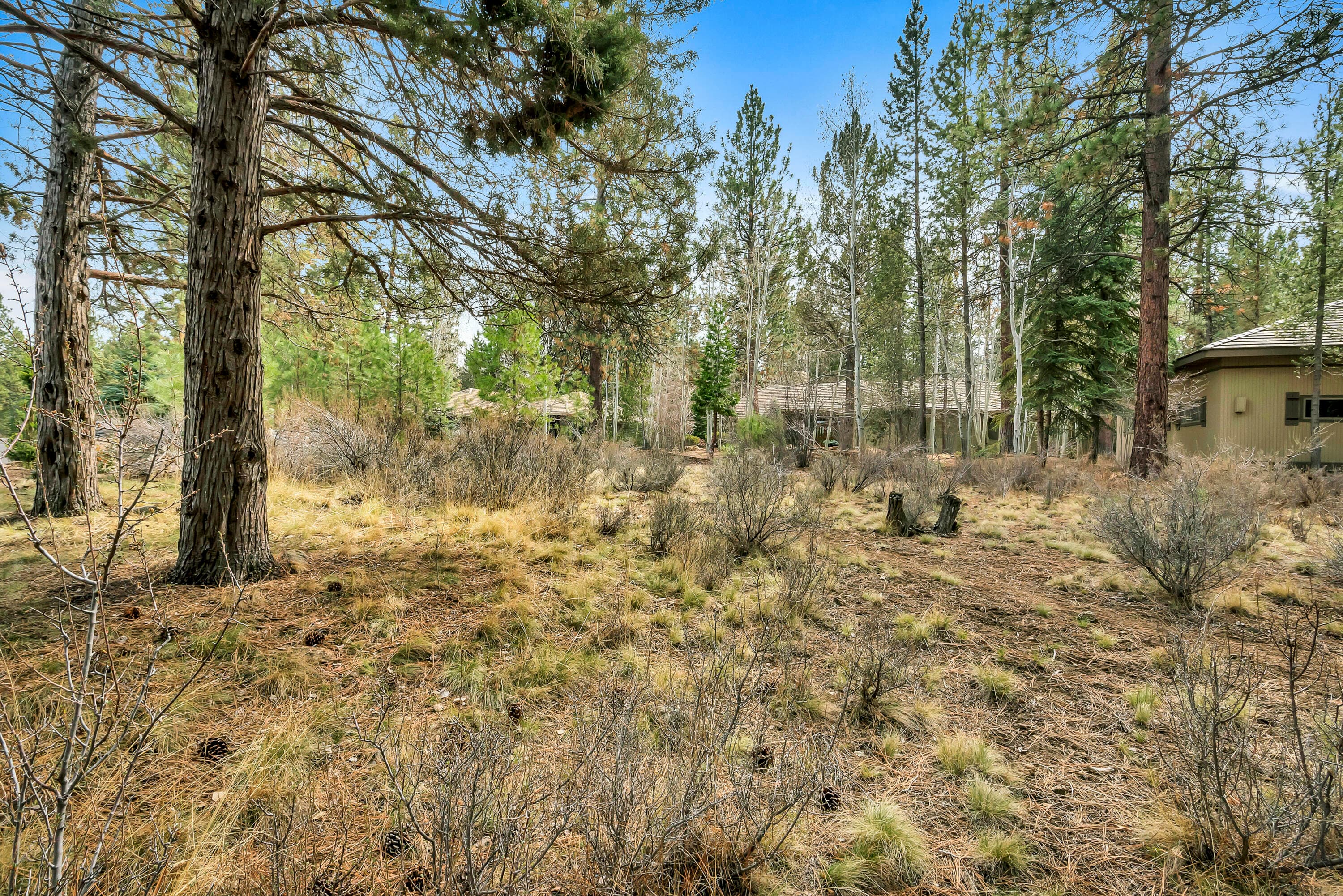 Photo 4 of 19374 Rim Lake Court