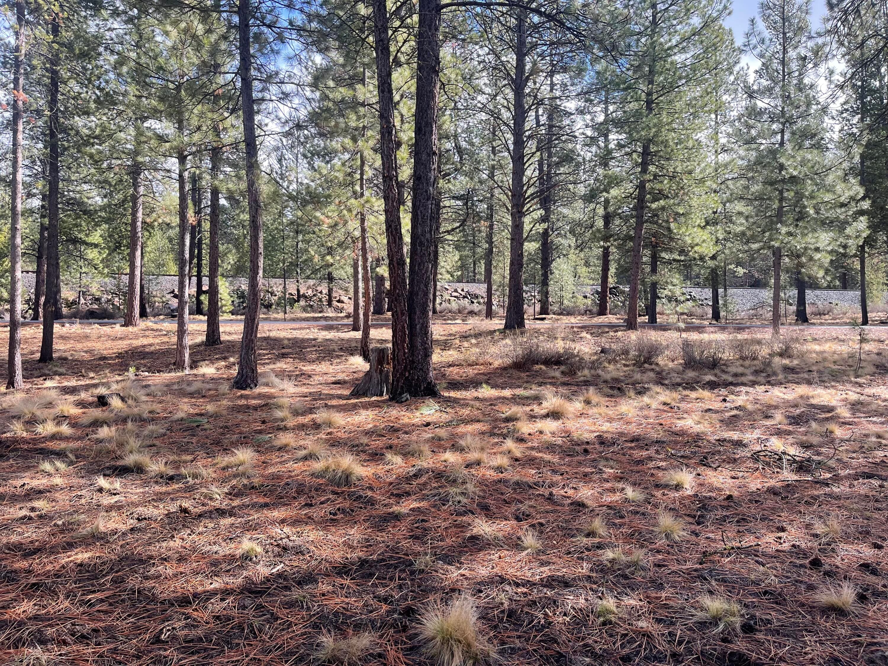 Photo 15 of 57048 Deer Lane