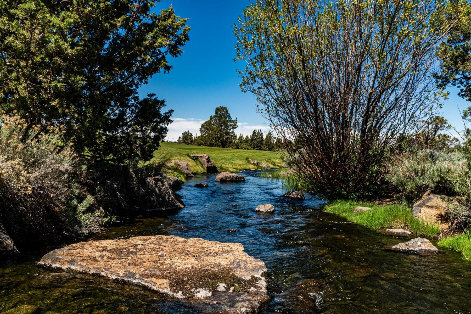 Photo 7 of 65845 Pronghorn Estates Drive, Lot 44