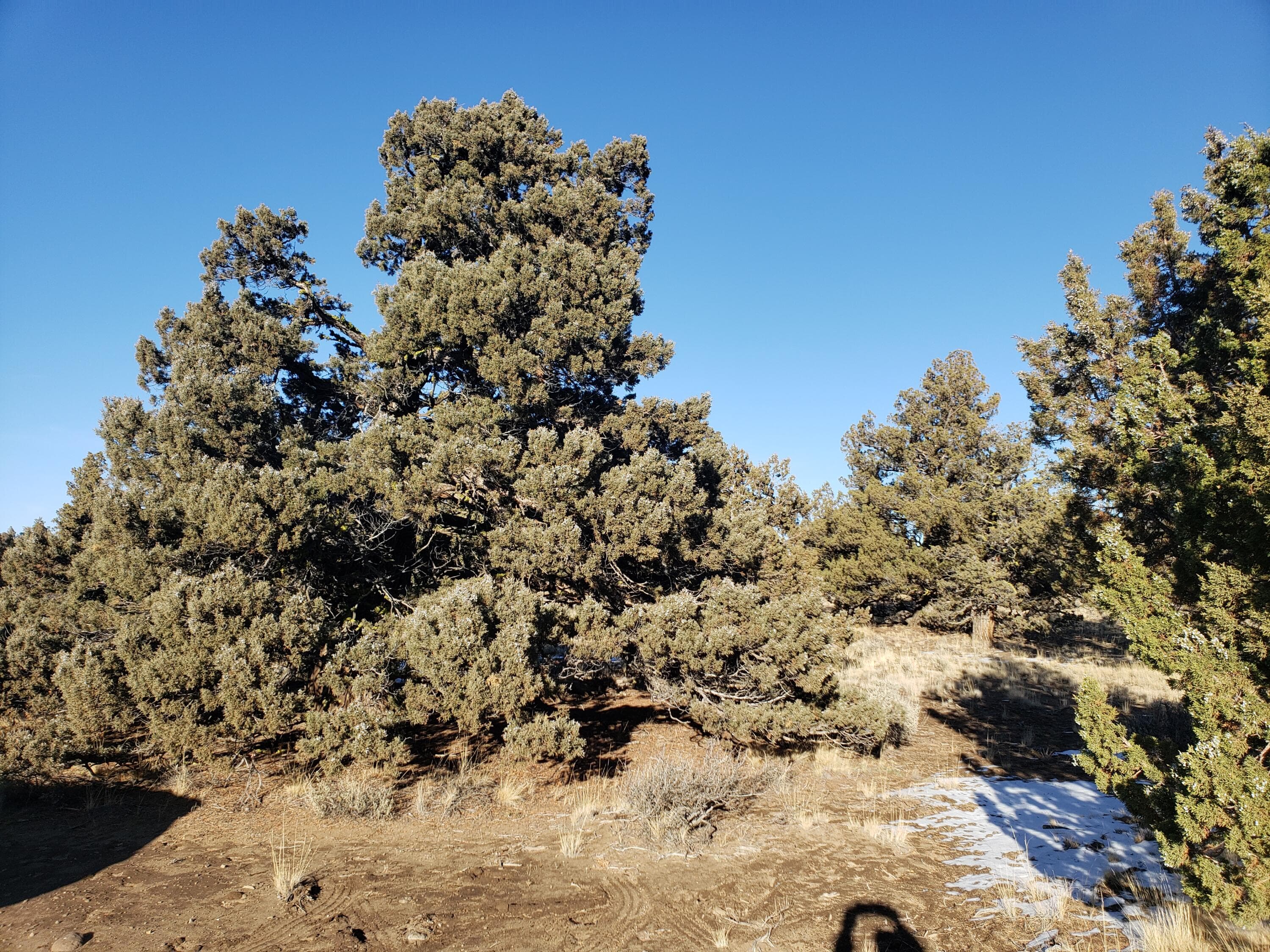 Photo 2 of 1400 Golden View Ranch