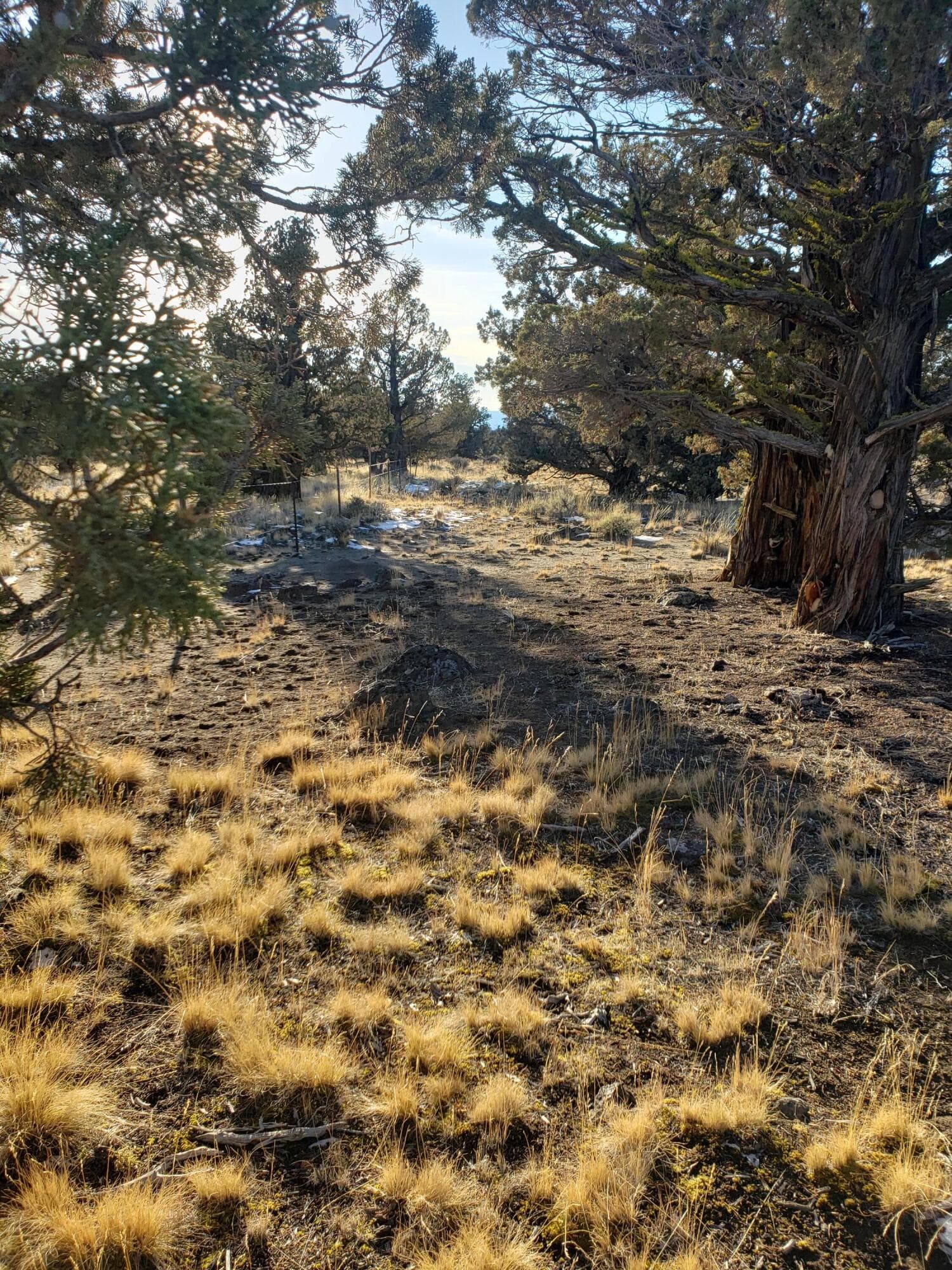 Photo 3 of 1400 Golden View Ranch