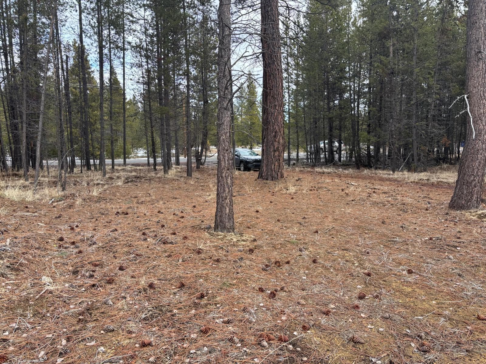 Photo 3 of 17115 Spring River Road