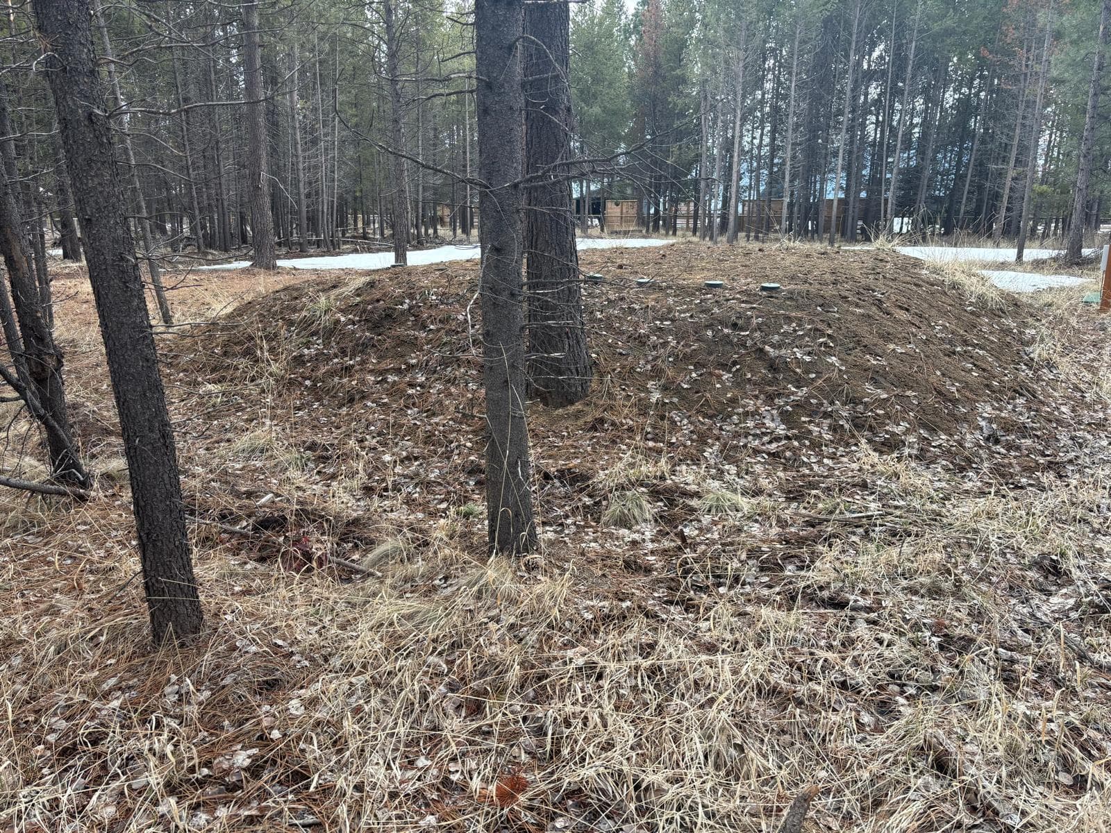 Photo 4 of 17115 Spring River Road