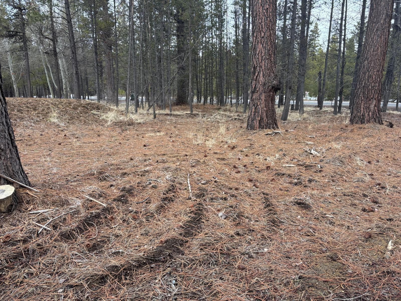 Photo 5 of 17115 Spring River Road