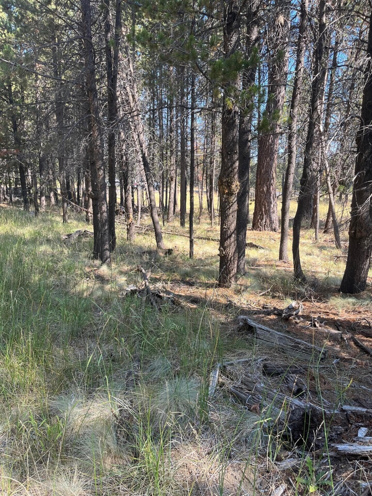 Photo 6 of 17123 Spring River Road, 14