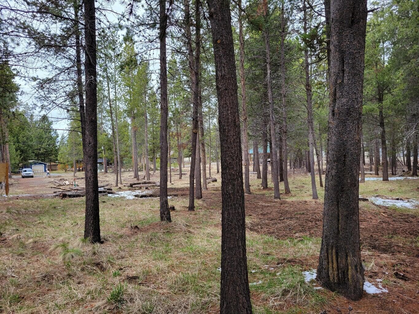 Photo 11 of 55540 Big River Drive