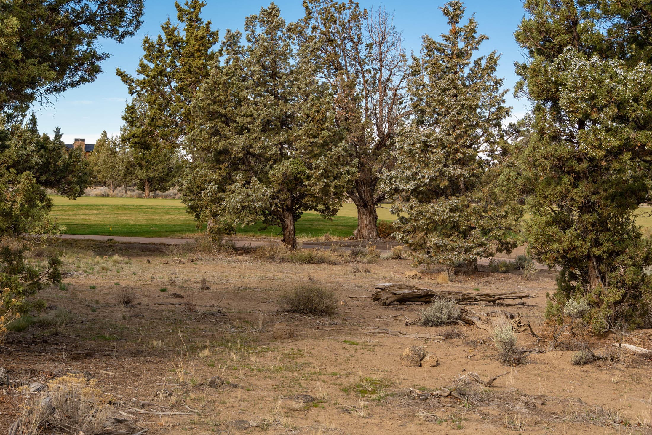 Photo 4 of 65833 Bearing Drive, Lot 130