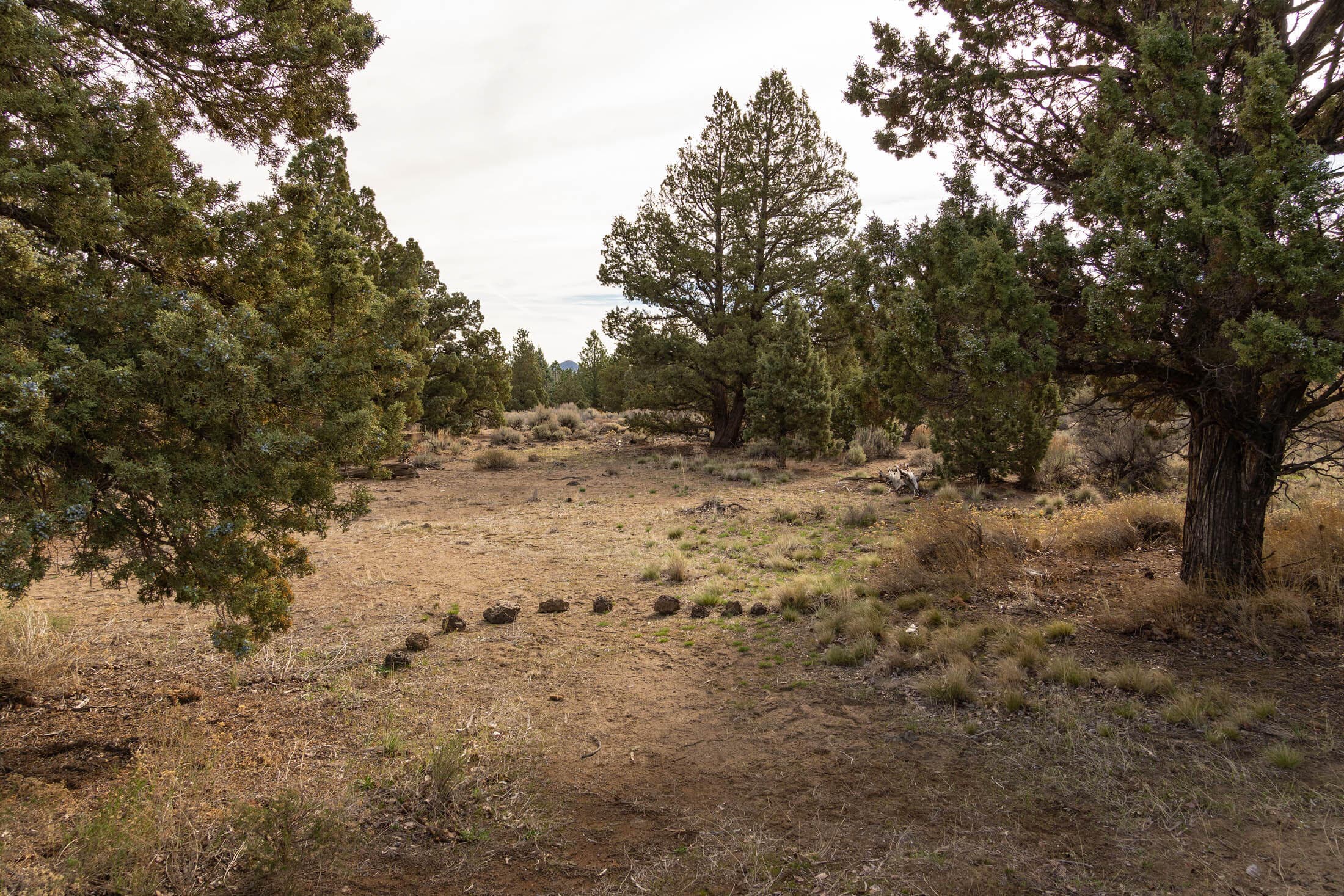 Photo 6 of 65833 Bearing Drive, Lot 130
