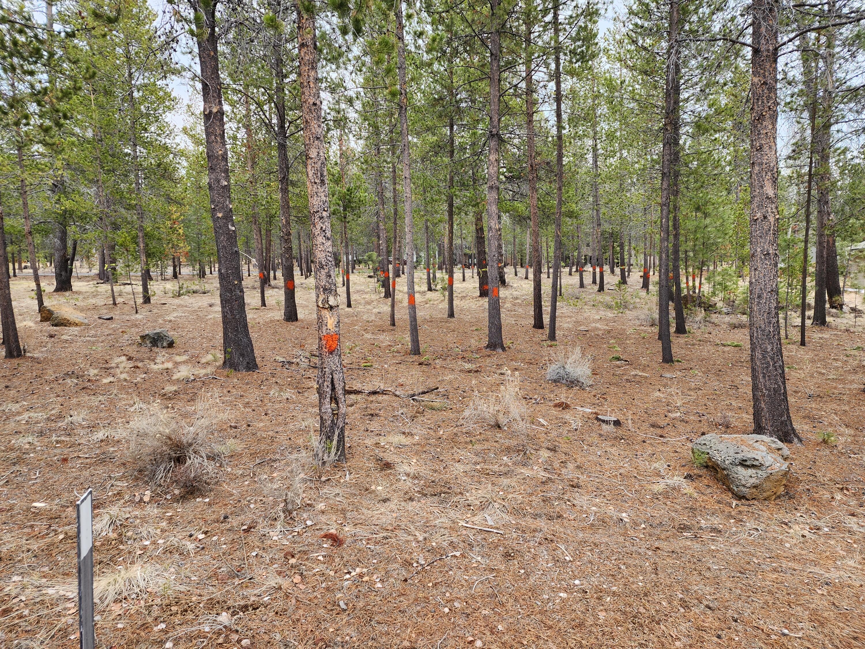 Photo 4 of 57626 Cultus Lane