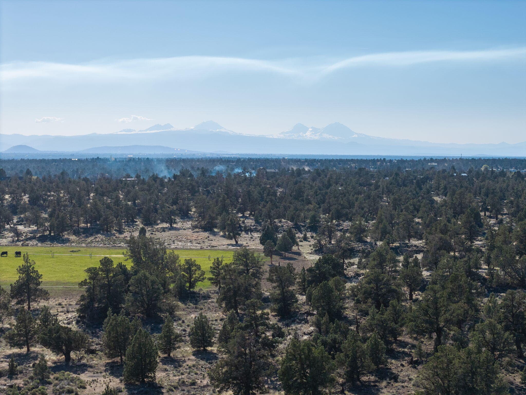 Primary photo of 25606 Alfalfa Market Road