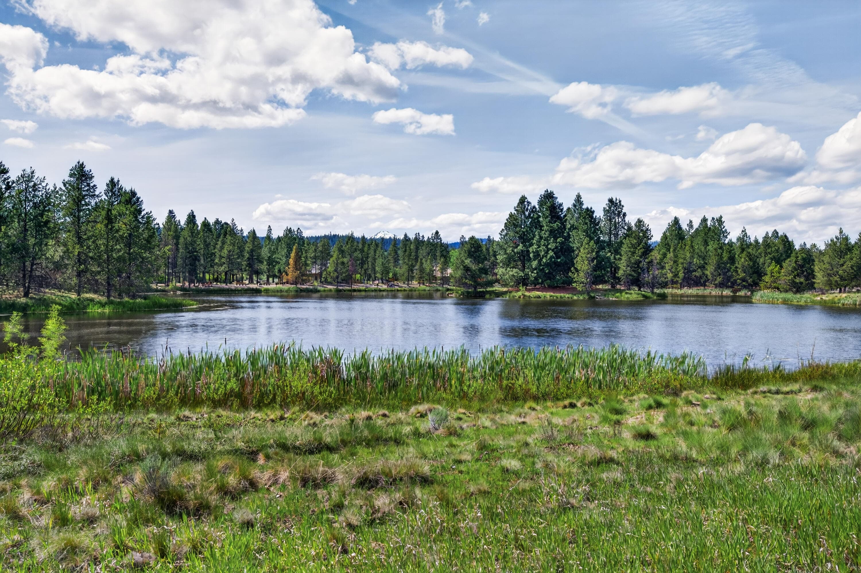 Photo 4 of 57335 Lake Aspen Lane, 4