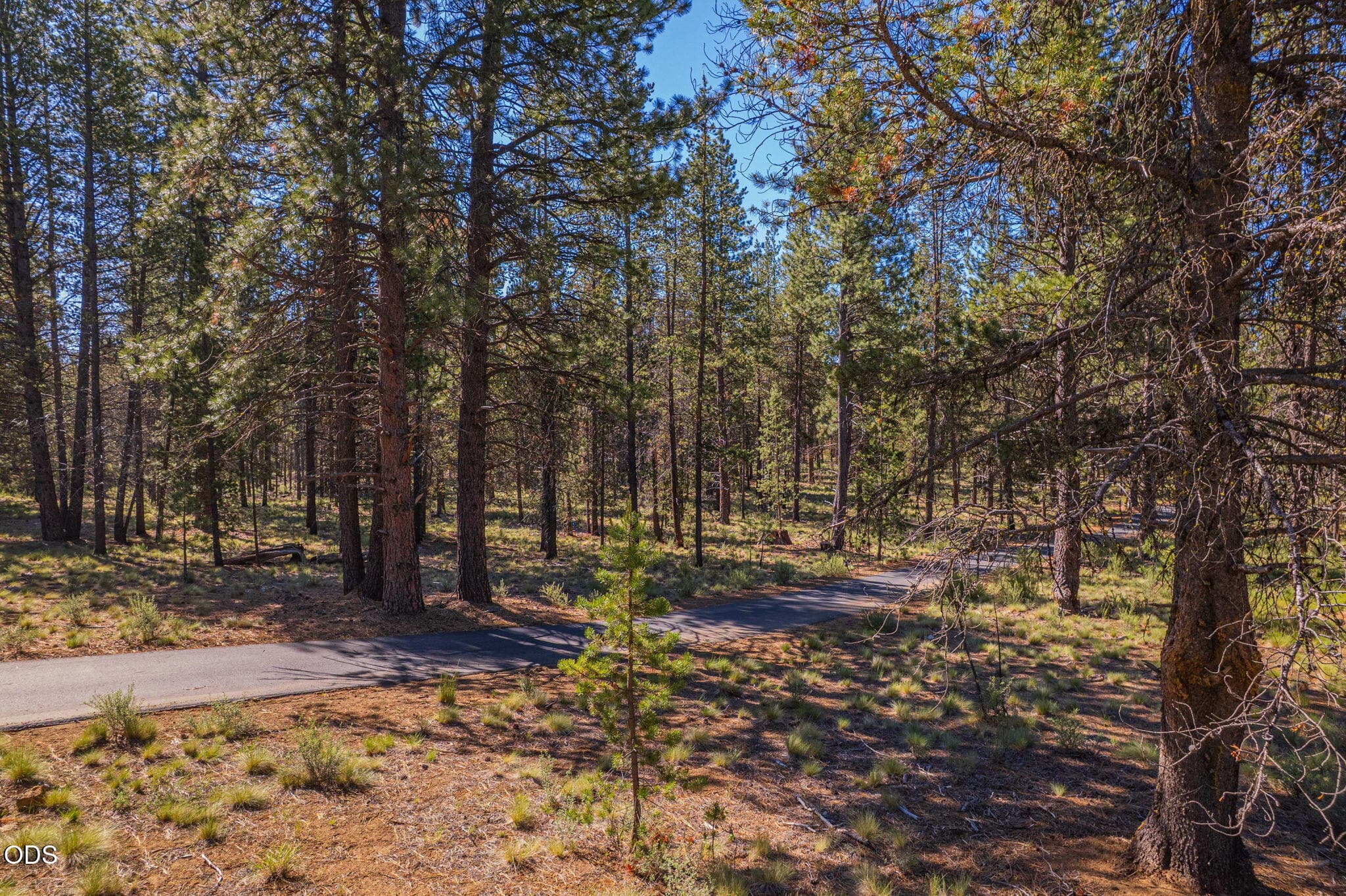 Photo 4 of 56319 Mirror Rock Loop, 337