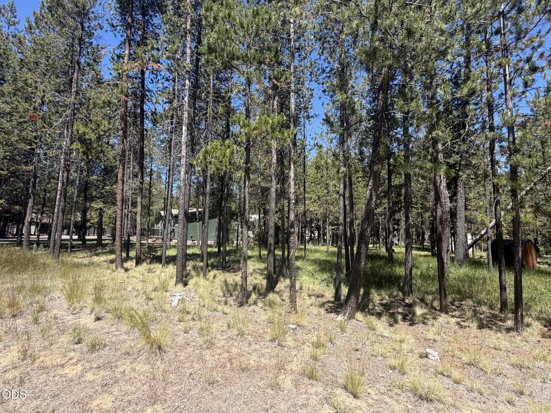 Photo 4 of 17386 Golden Eye Drive