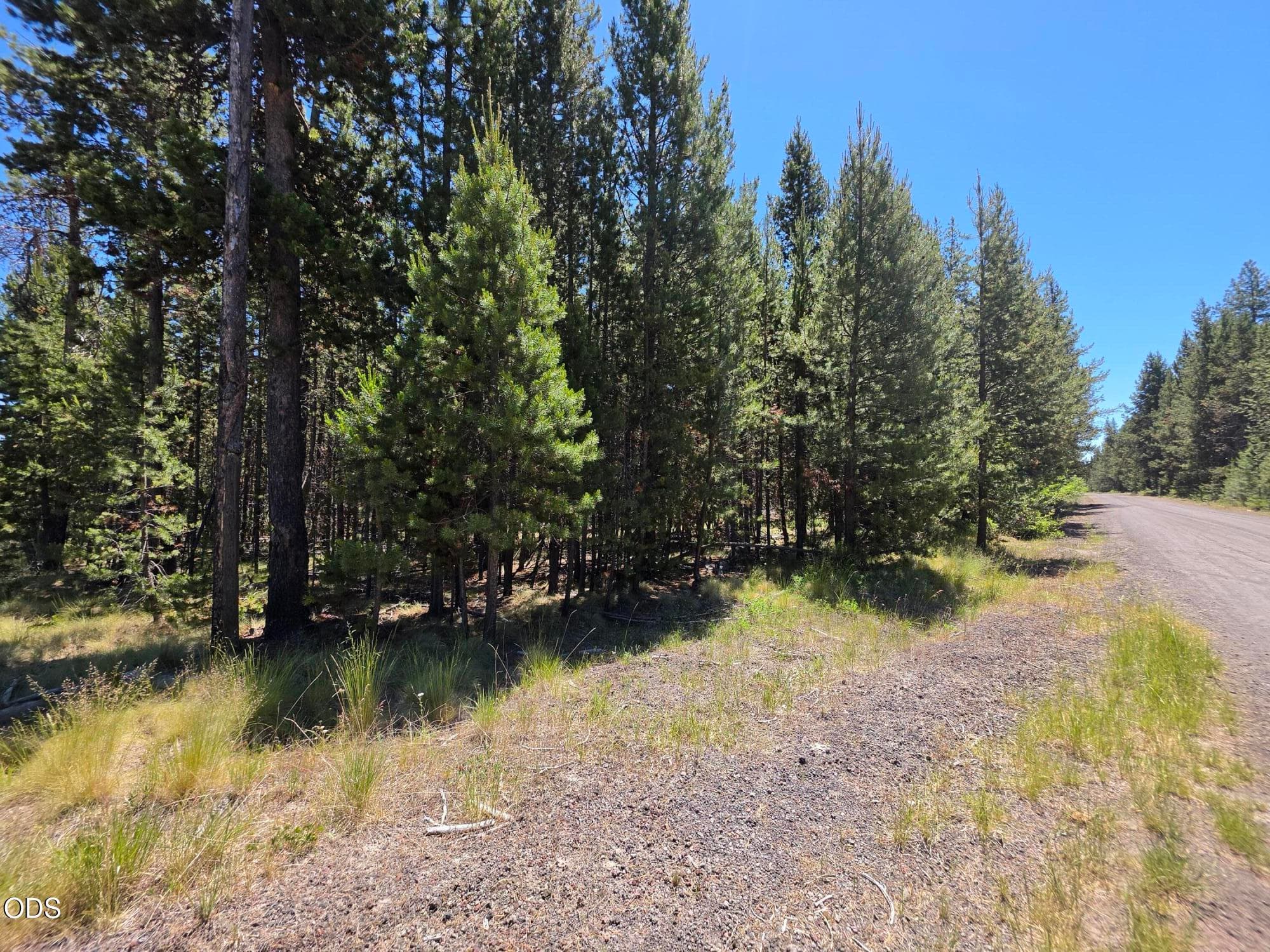 Photo 2 of 17103 Laguna Road