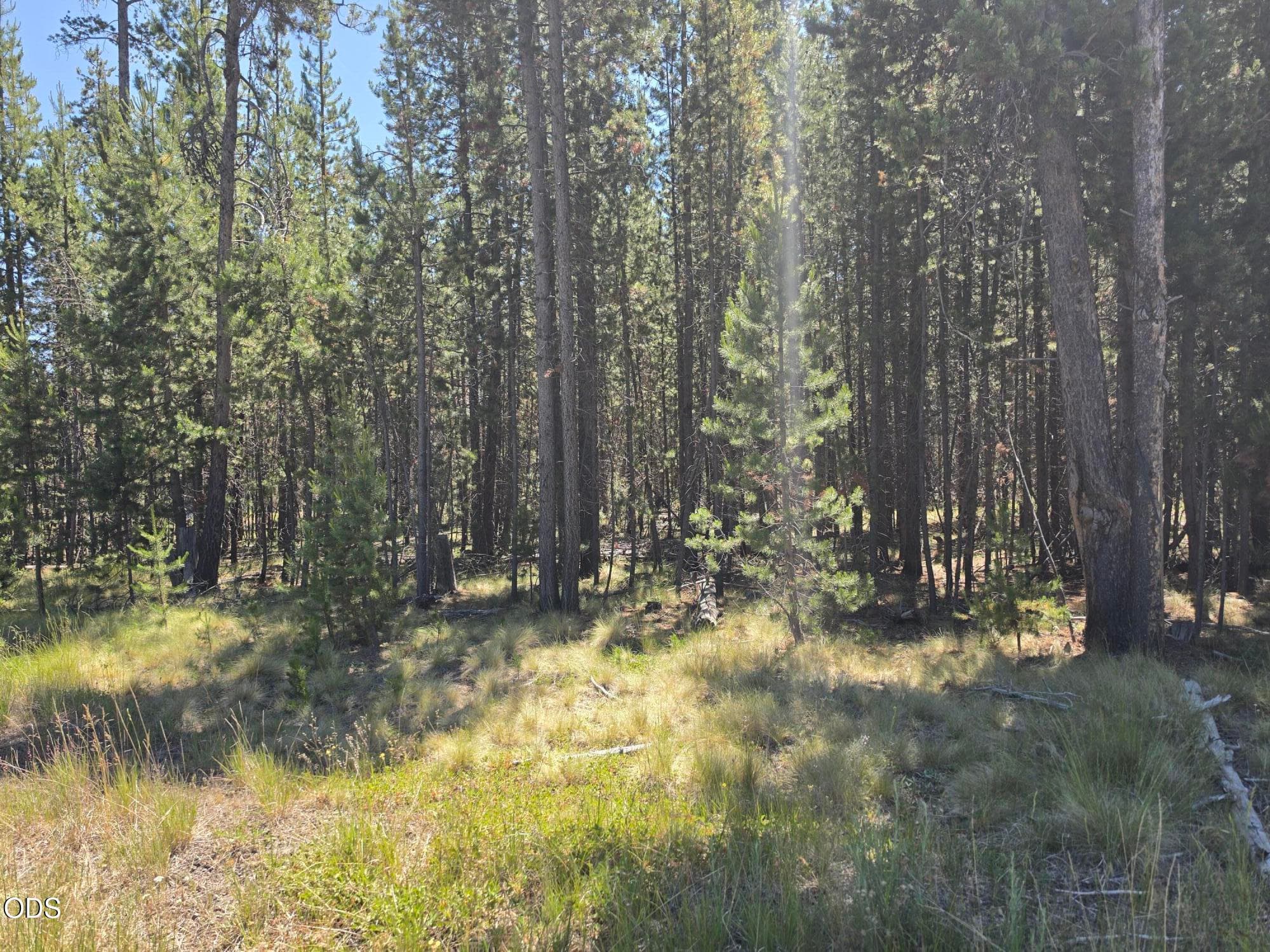 Photo 3 of 17103 Laguna Road