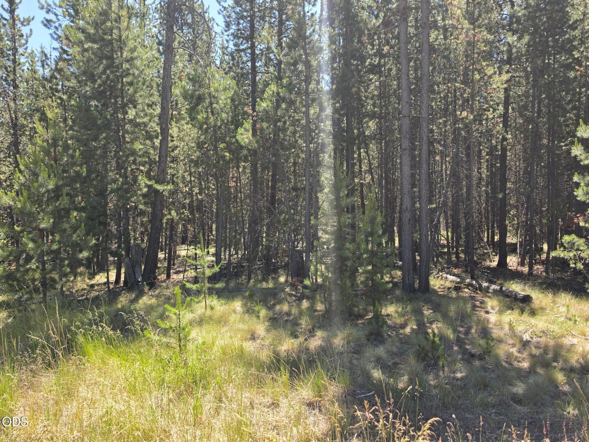 Photo 4 of 17103 Laguna Road