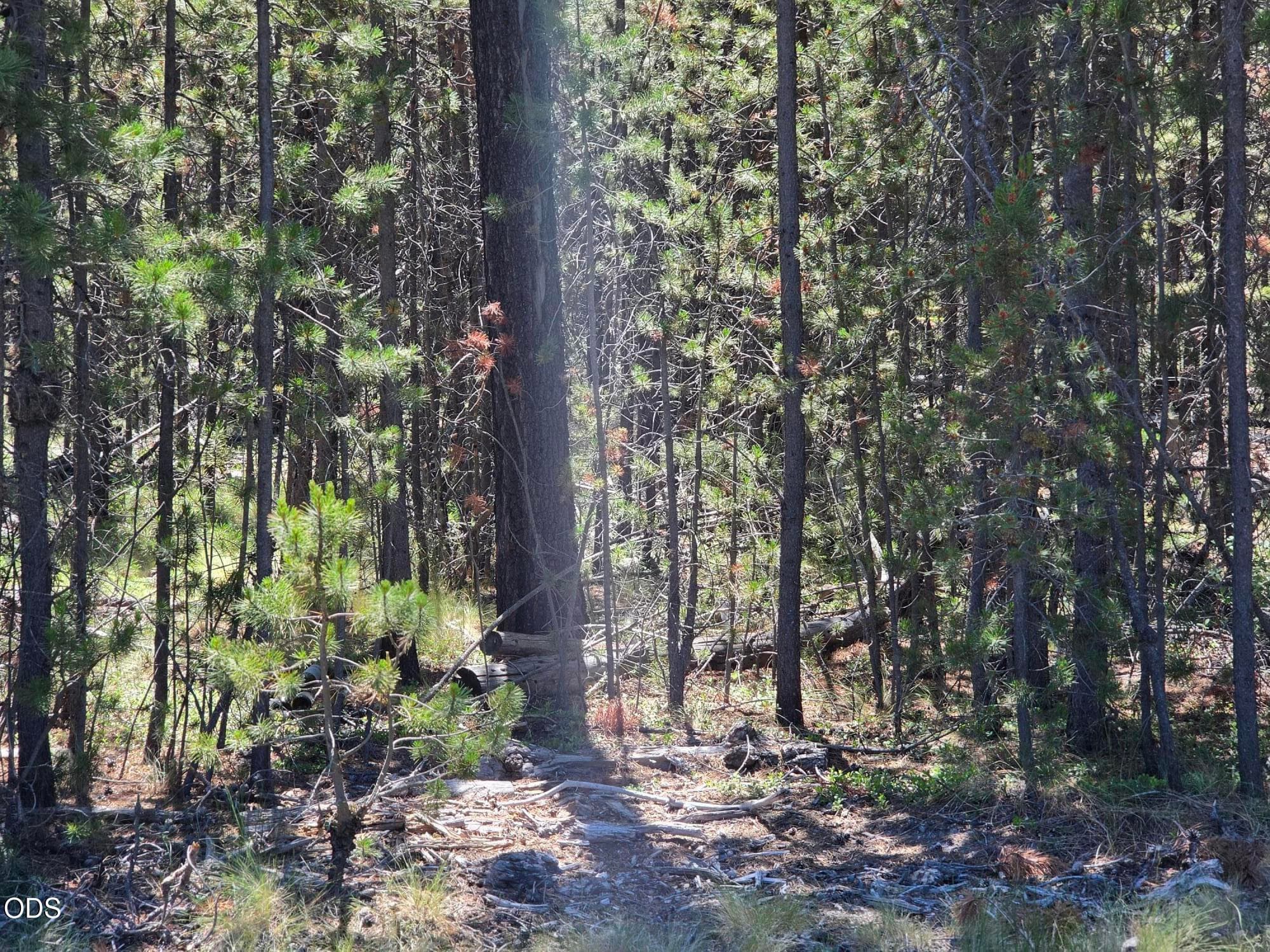 Photo 7 of 17103 Laguna Road