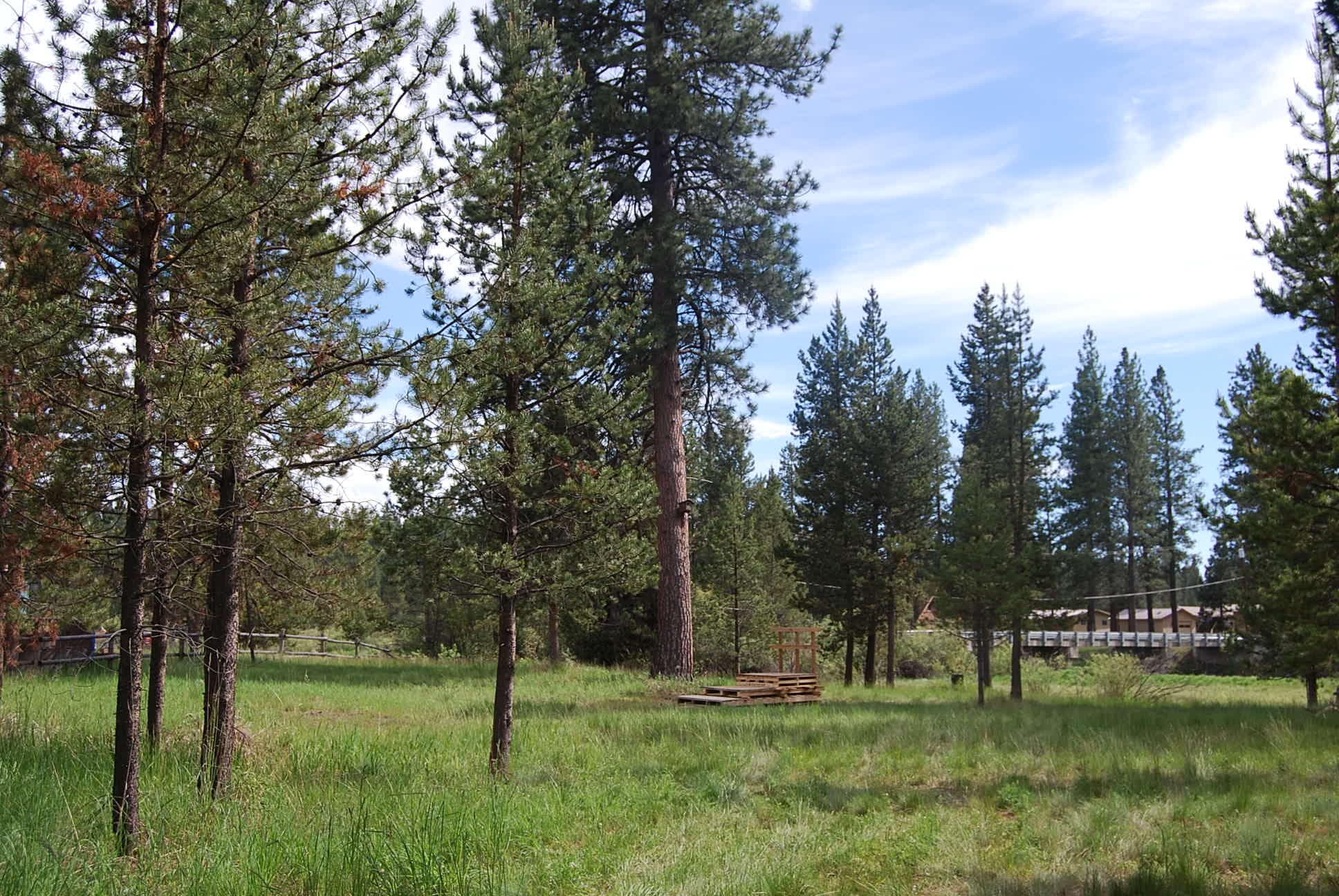 Photo 4 of 16245 Bear Lane