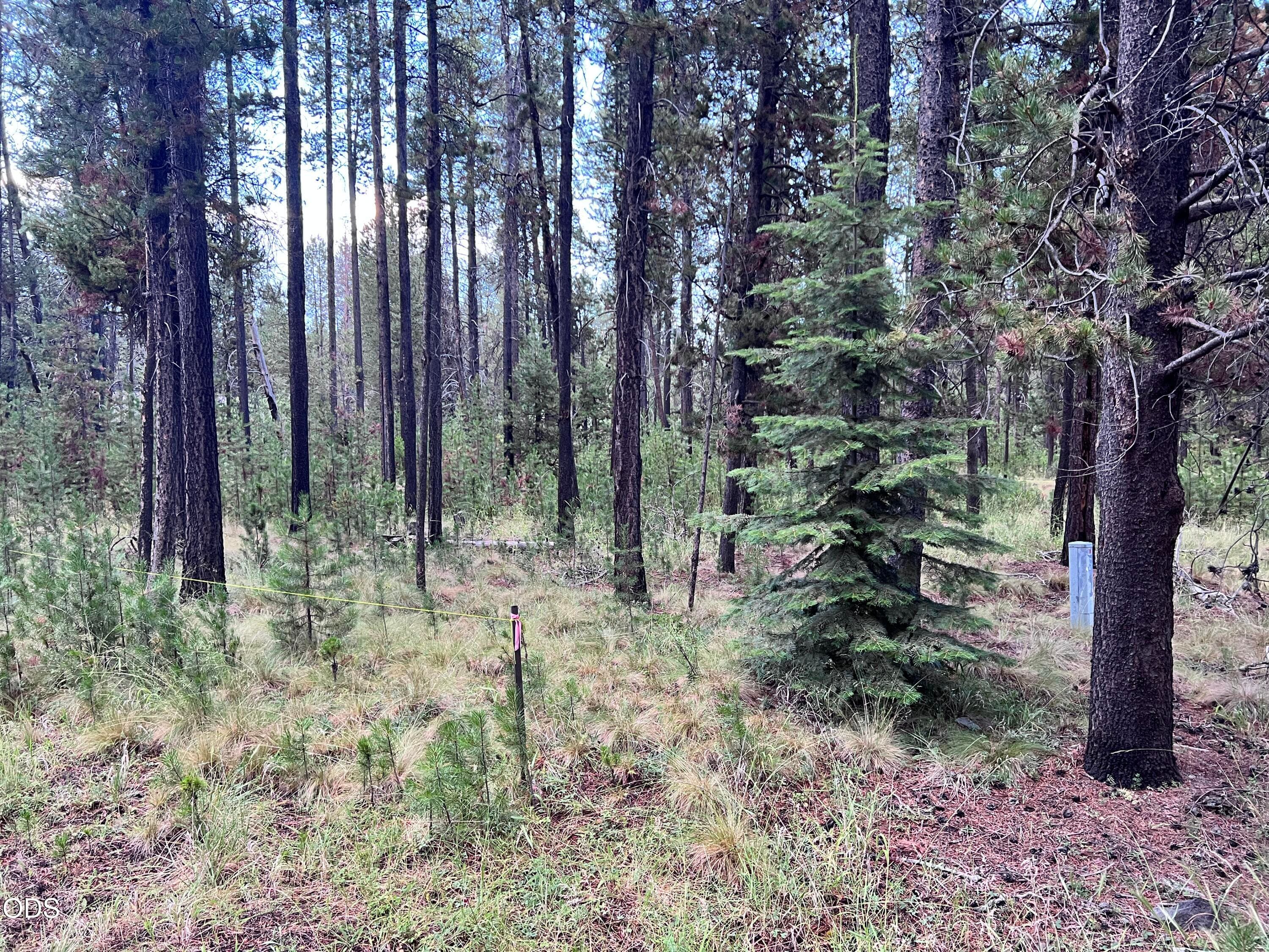 Photo 2 of 17080 Island Loop Way