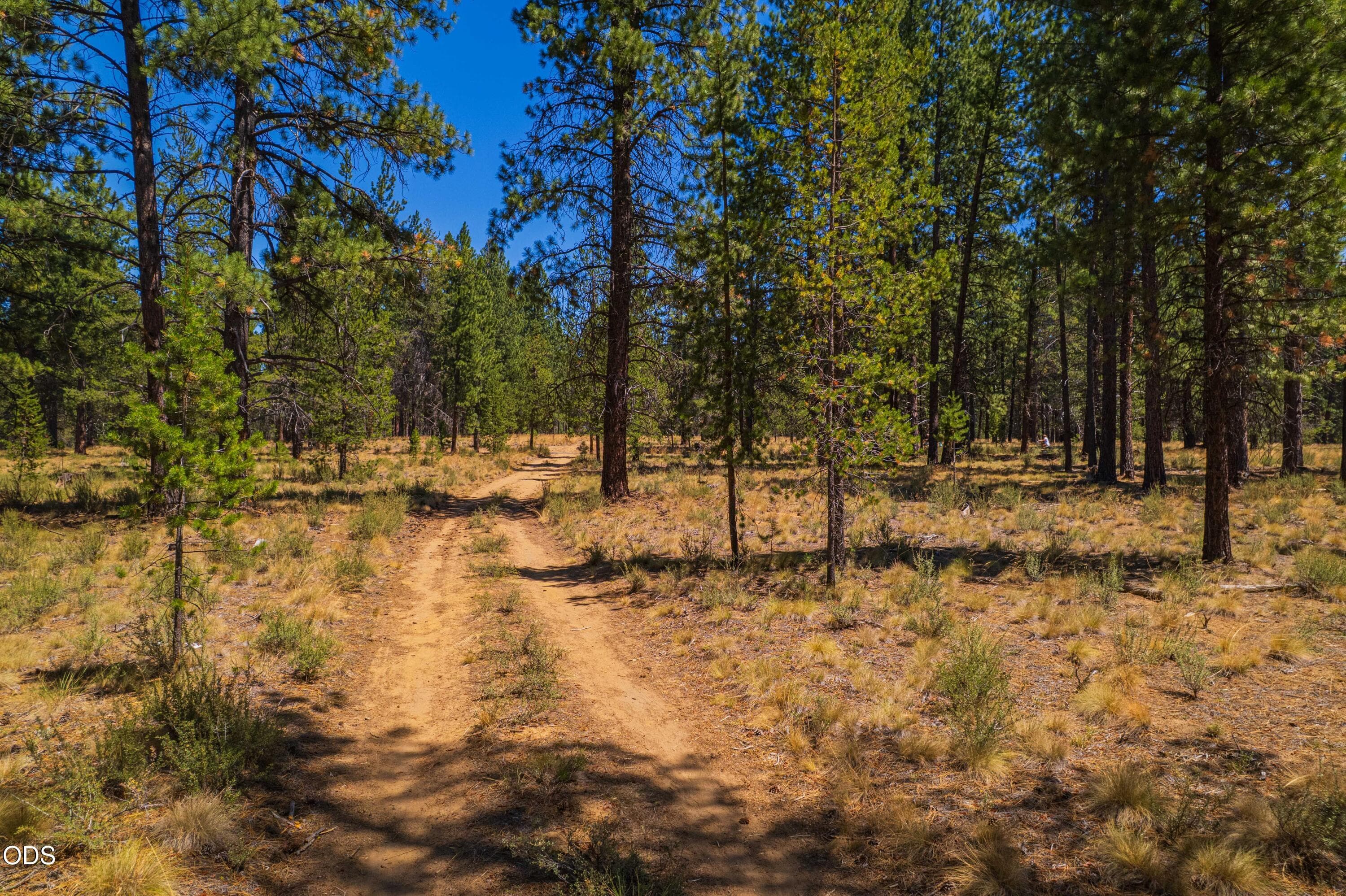 Photo 4 of 56343 Mirror Rock Loop, 333