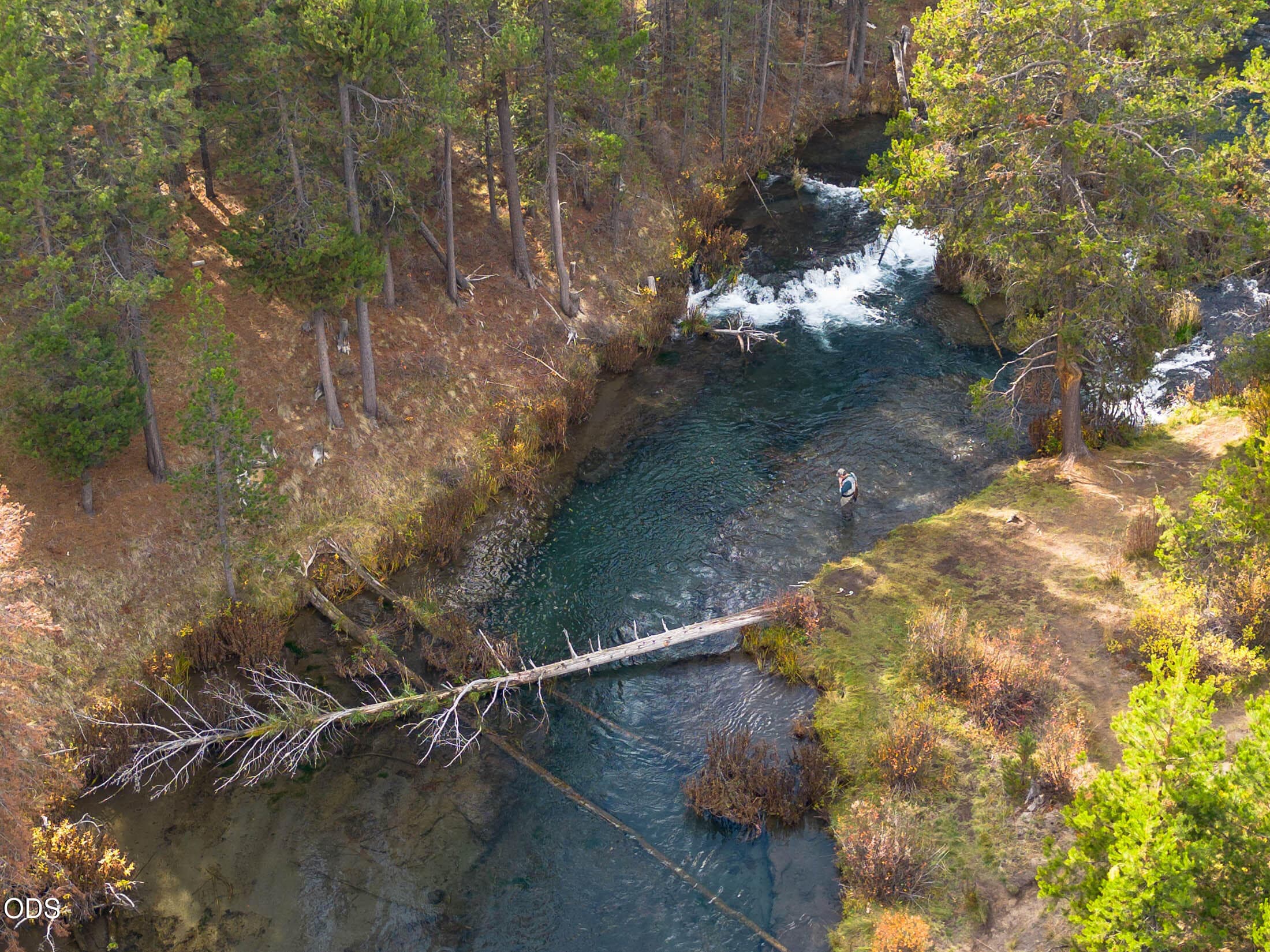 Photo 4 of 15150 Yellow Pine Loop