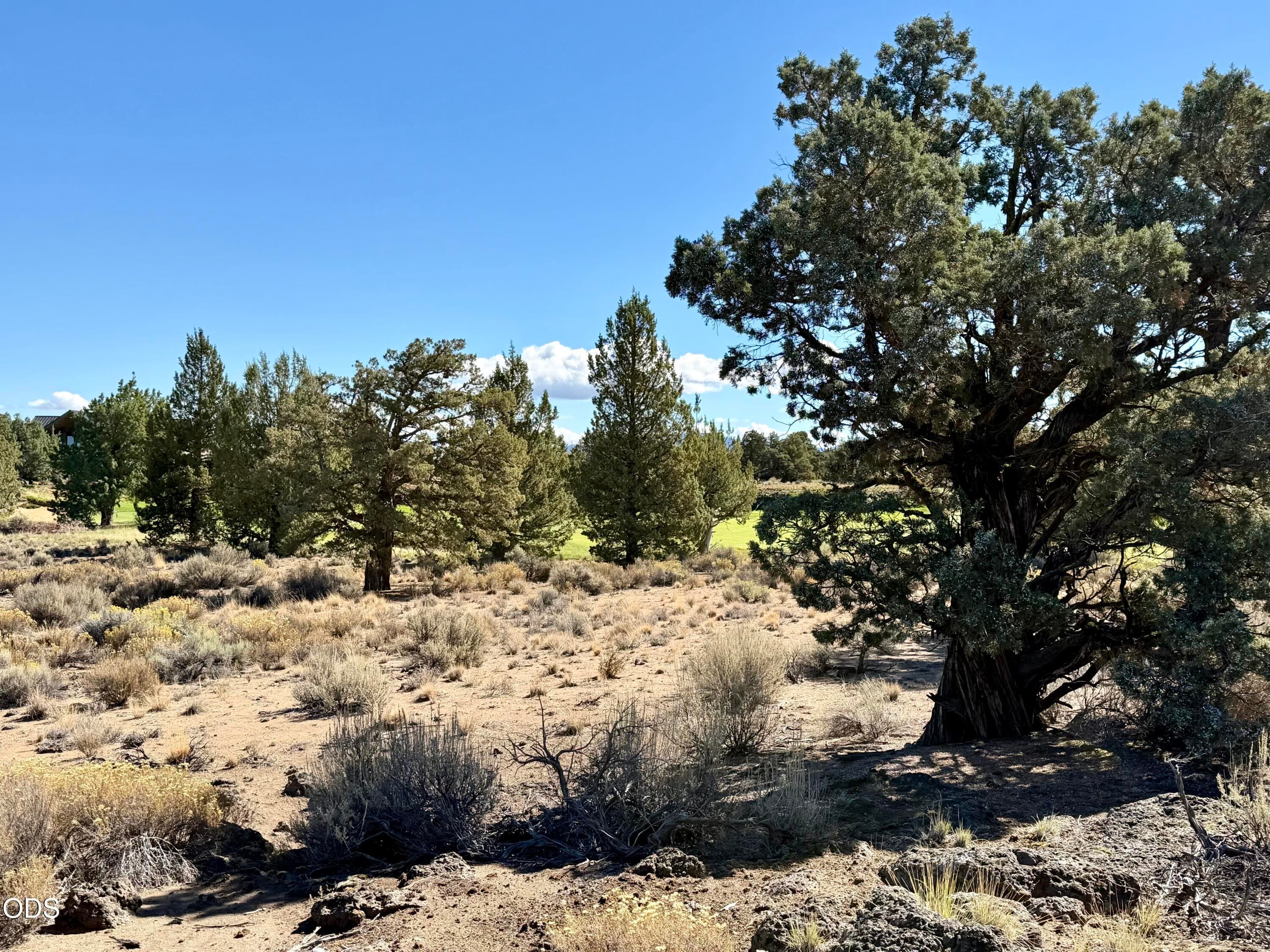 Photo 3 of 66215 Pronghorn Estates, 191